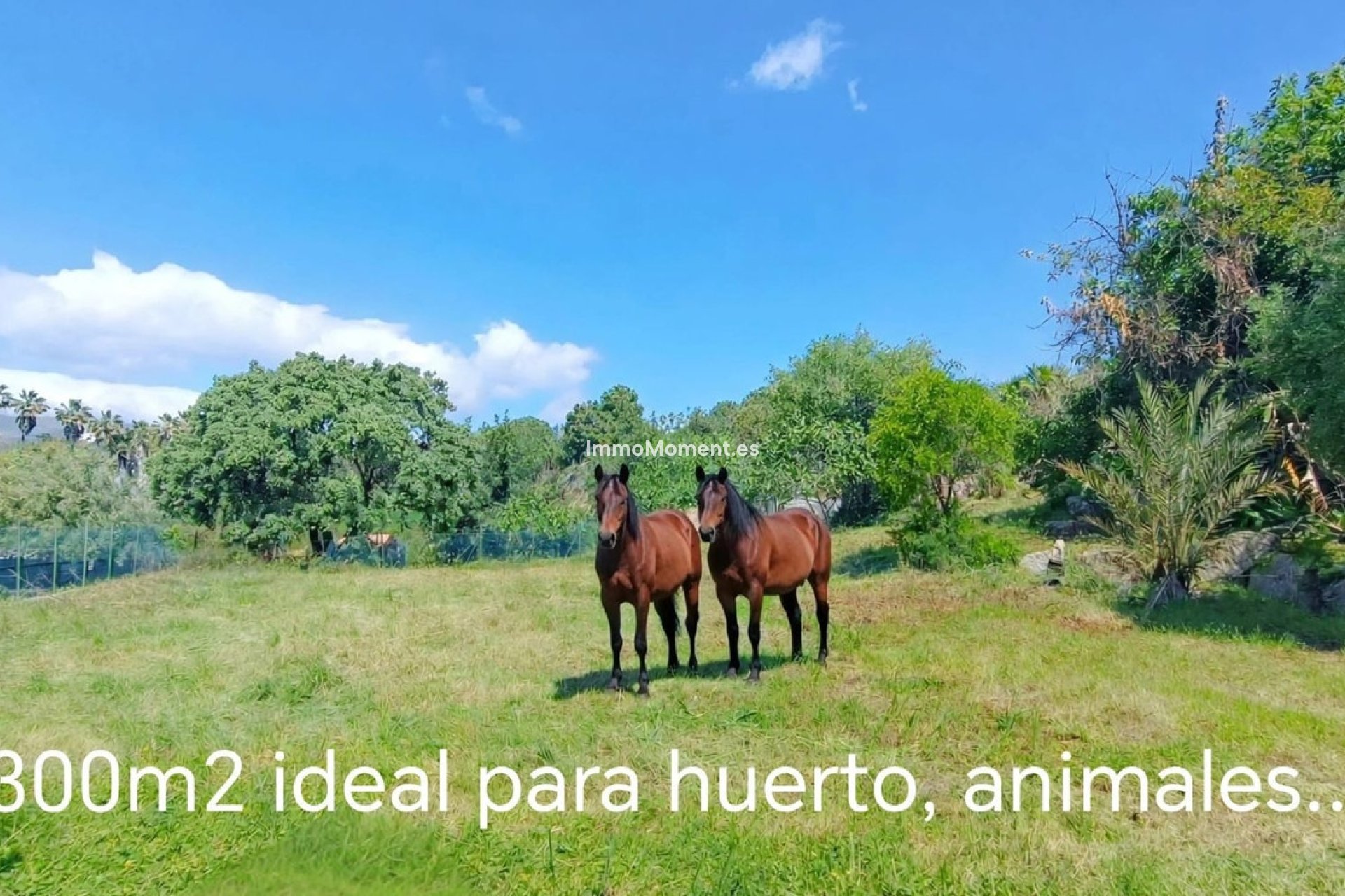 Resale - Villa - Estepona - Estepona Centro