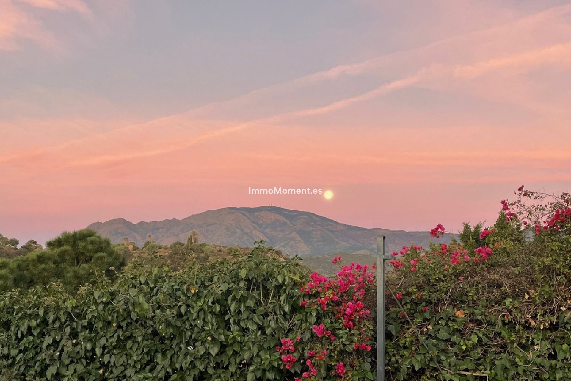Resale - Villa - Estepona - Estepona Centro