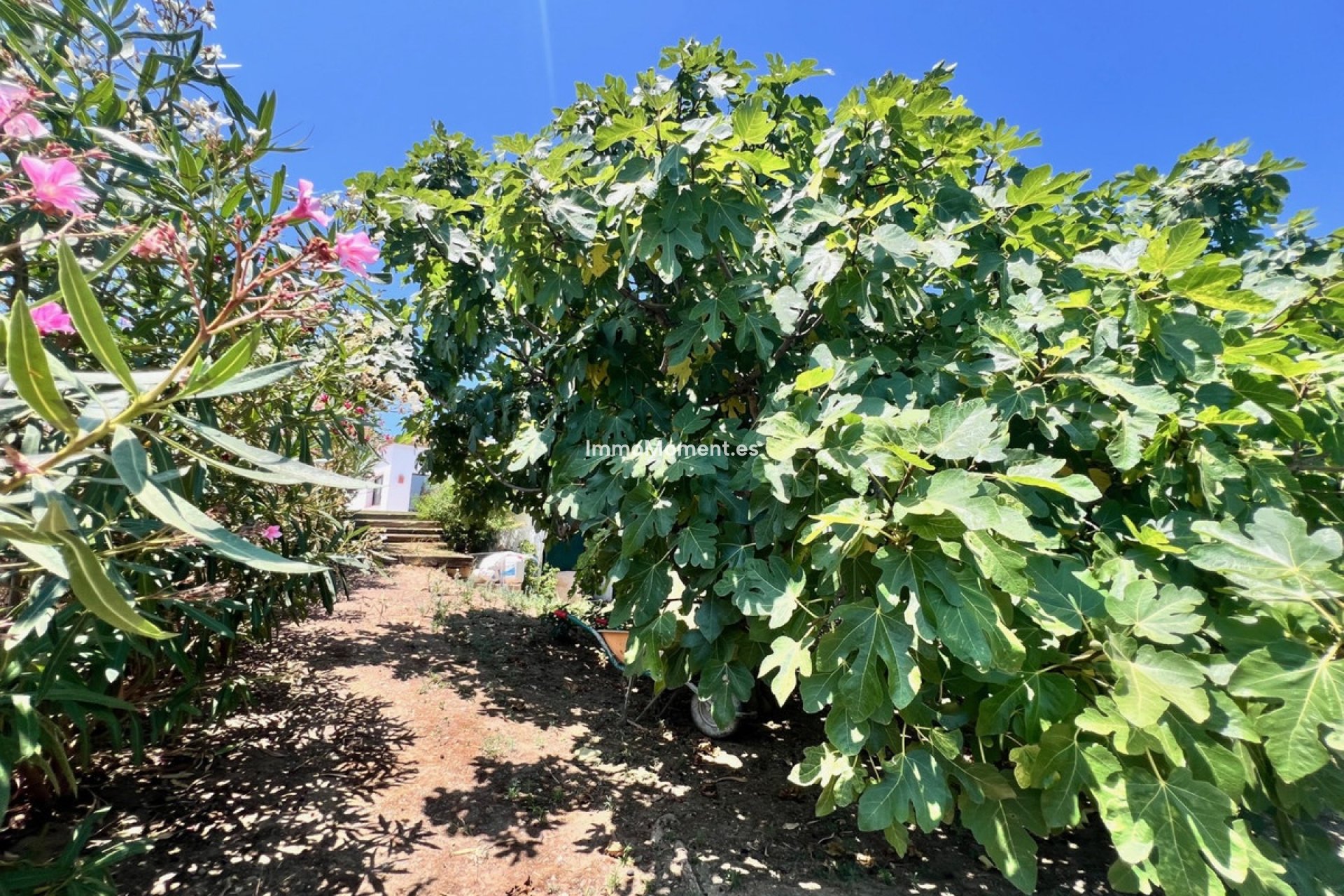 Resale - Villa - Estepona - New Golden Mile