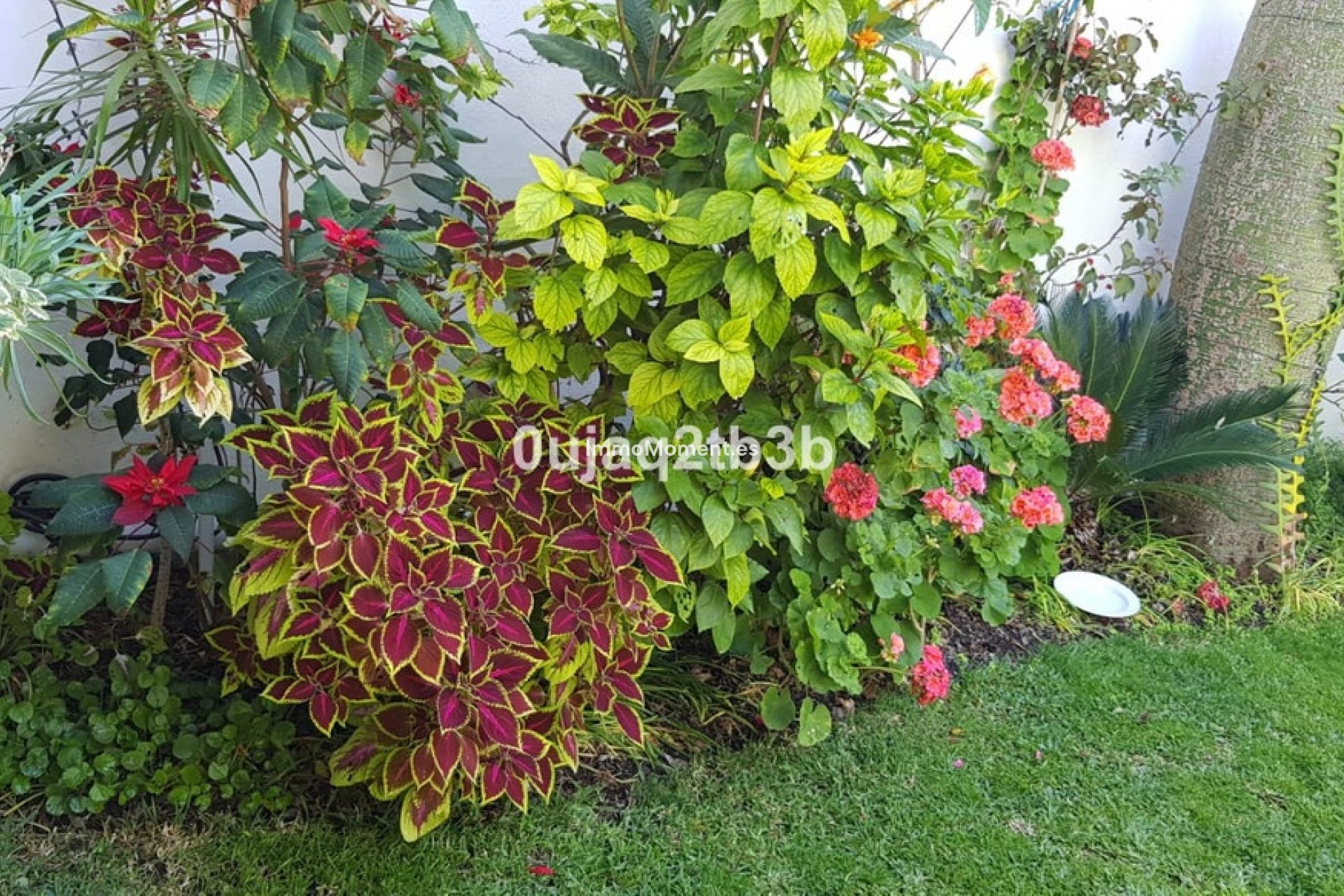 Resale - Villa - Estepona - New Golden Mile