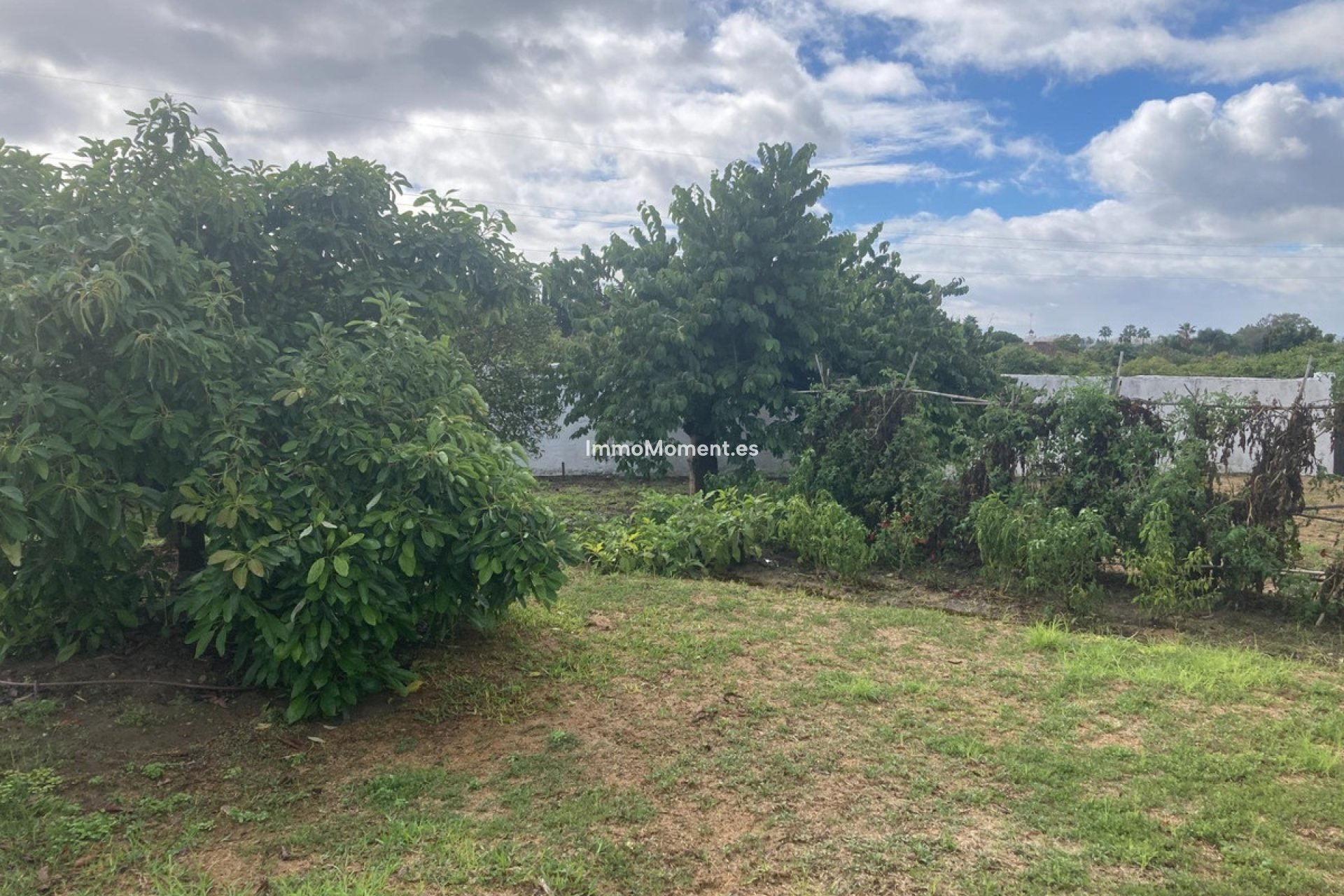 Resale - Villa - Estepona - Selwo