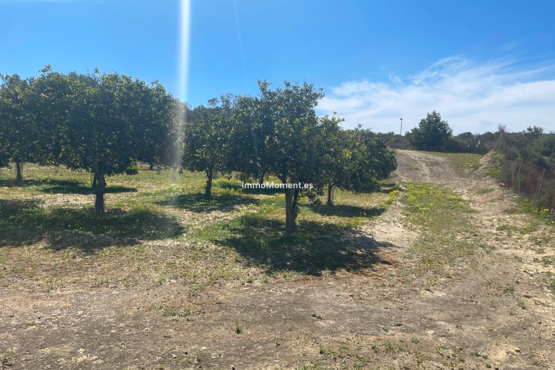 Resale - Villa - Guardamar del Segura - Guardamar del Segura Centro