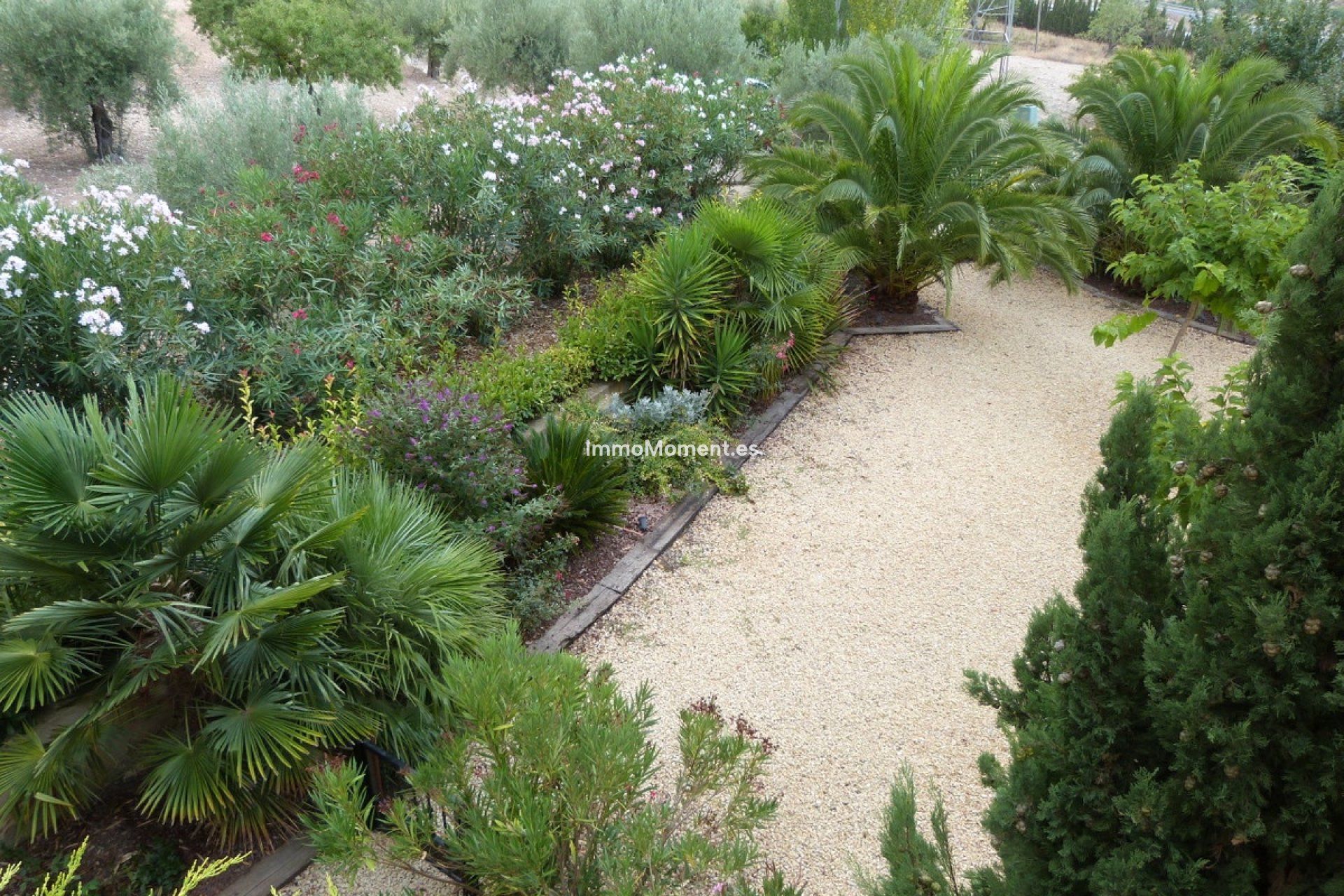 Resale - Villa - Ibi - Ibi Centro