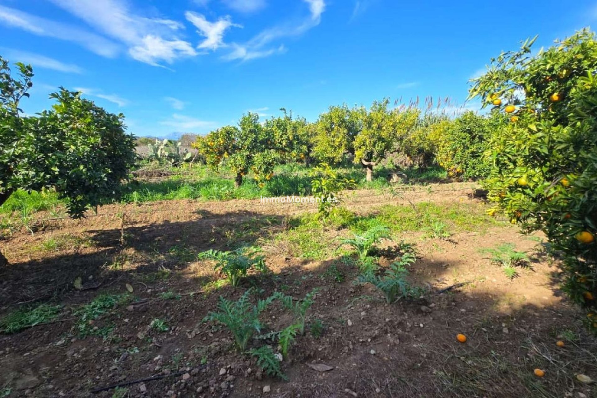 Resale - Villa - Inland  - Alhaurín de la Torre