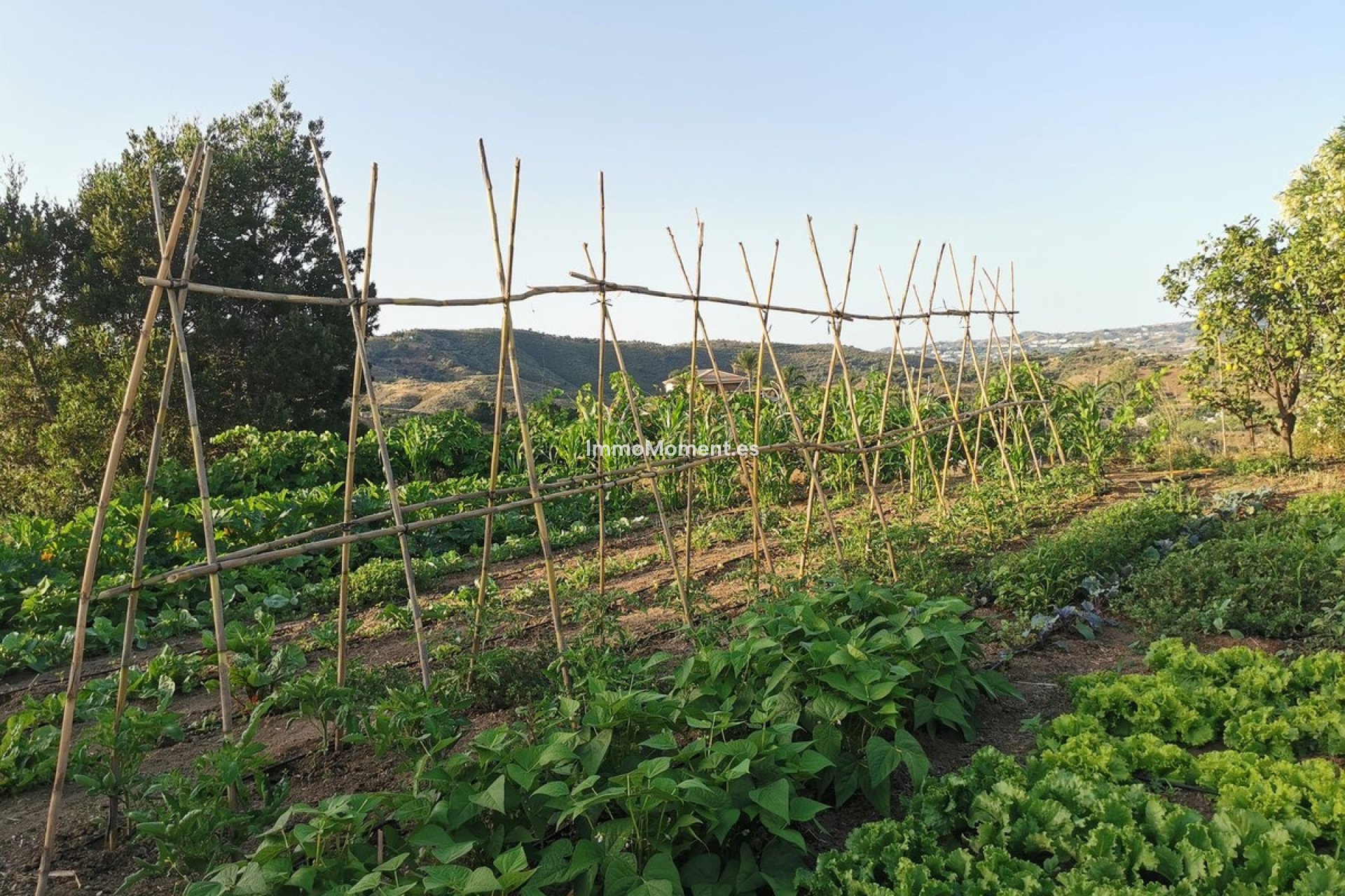 Resale - Villa - Inland  - Alhaurín el Grande Centro