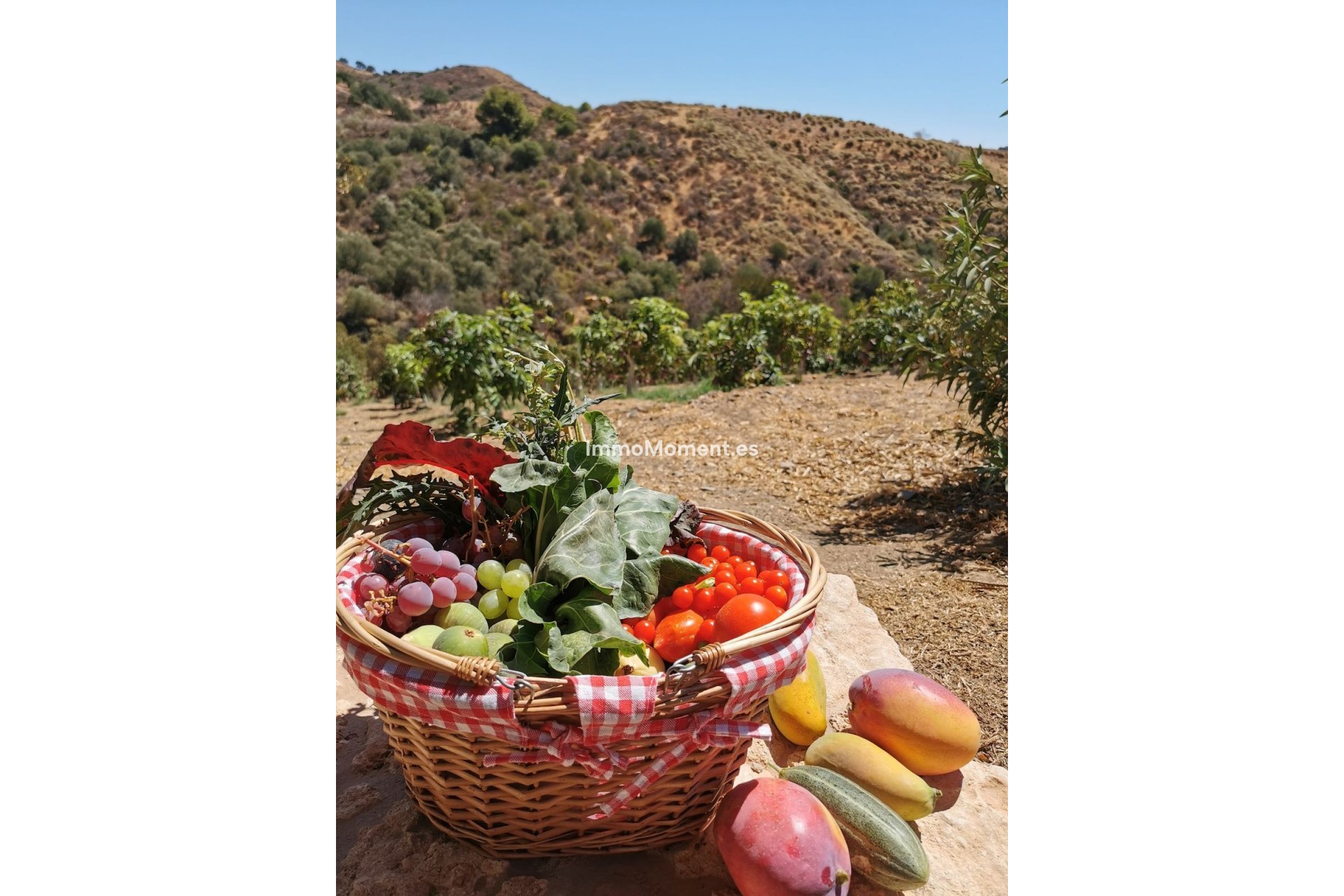 Resale - Villa - Inland  - Alhaurín el Grande Centro