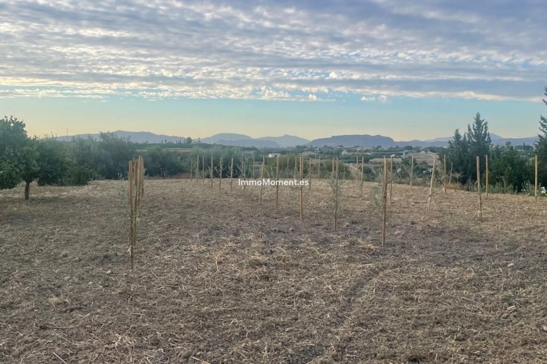 Resale - Villa - Inland  - Alhaurín el Grande Centro