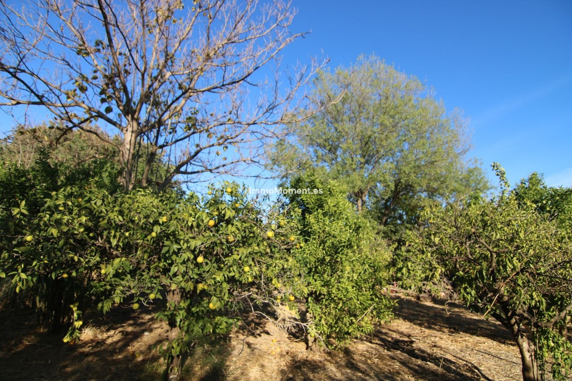 Resale - Villa - Inland  - Alora