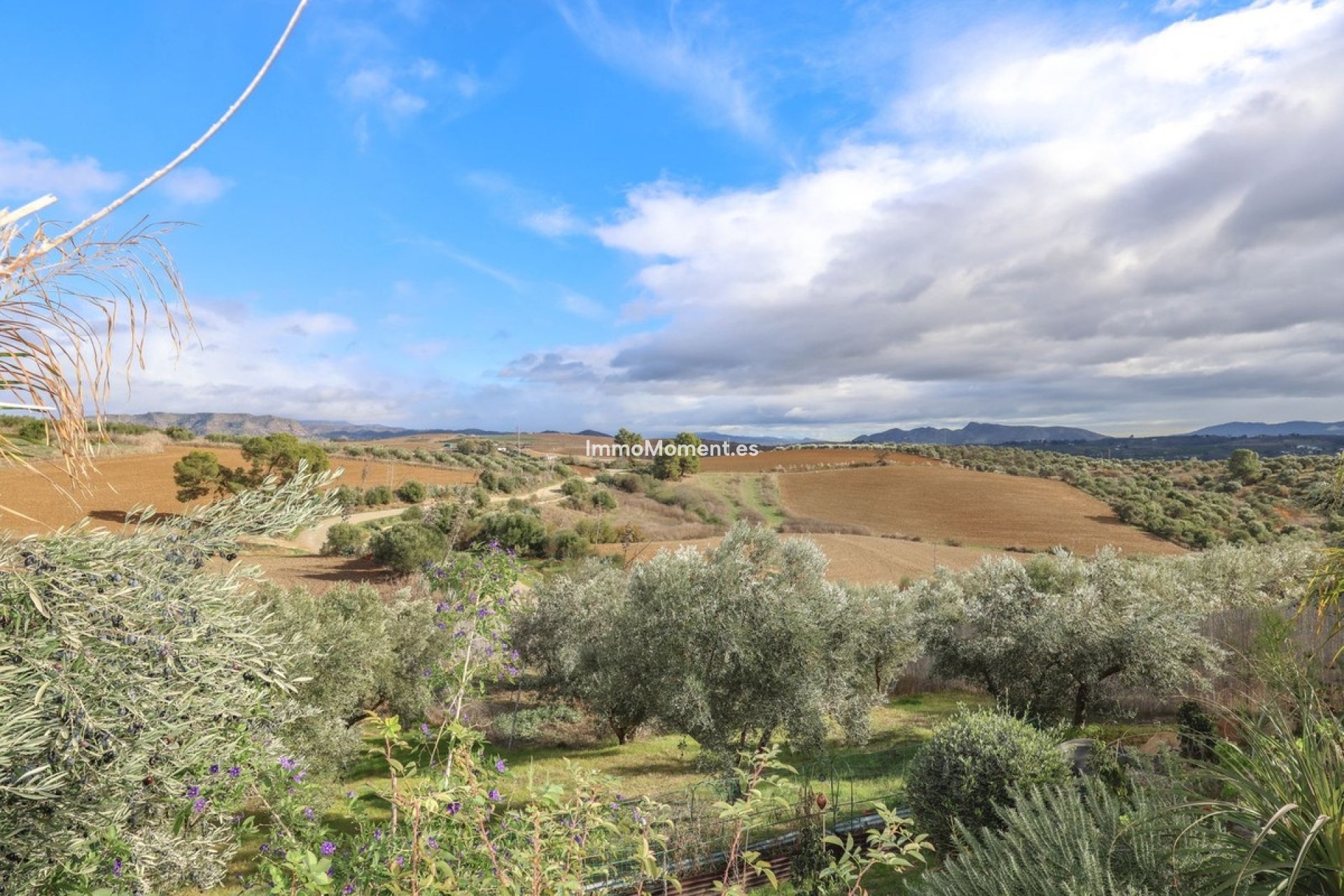 Resale - Villa - Inland  - Coín