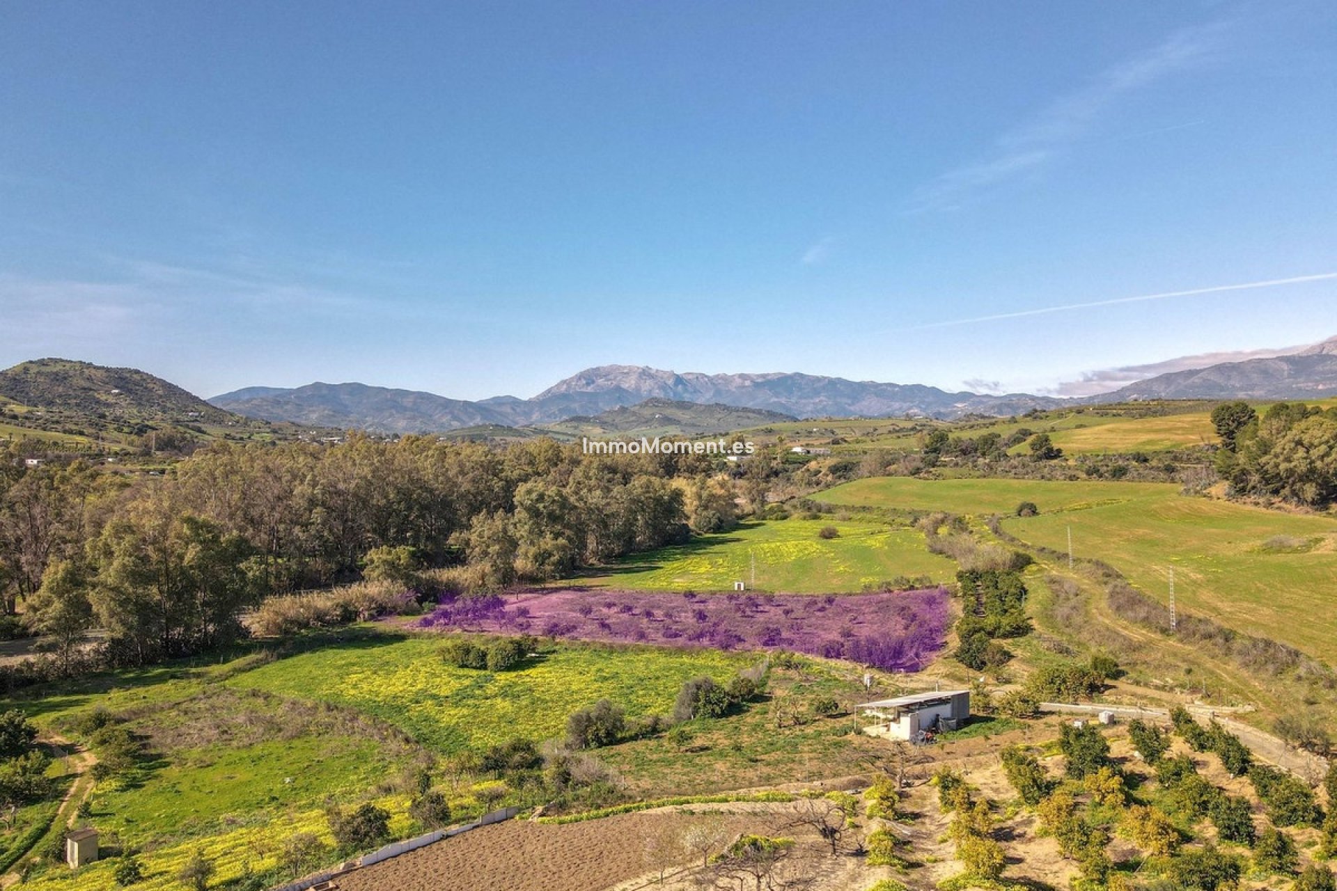 Resale - Villa - Inland  - Coín