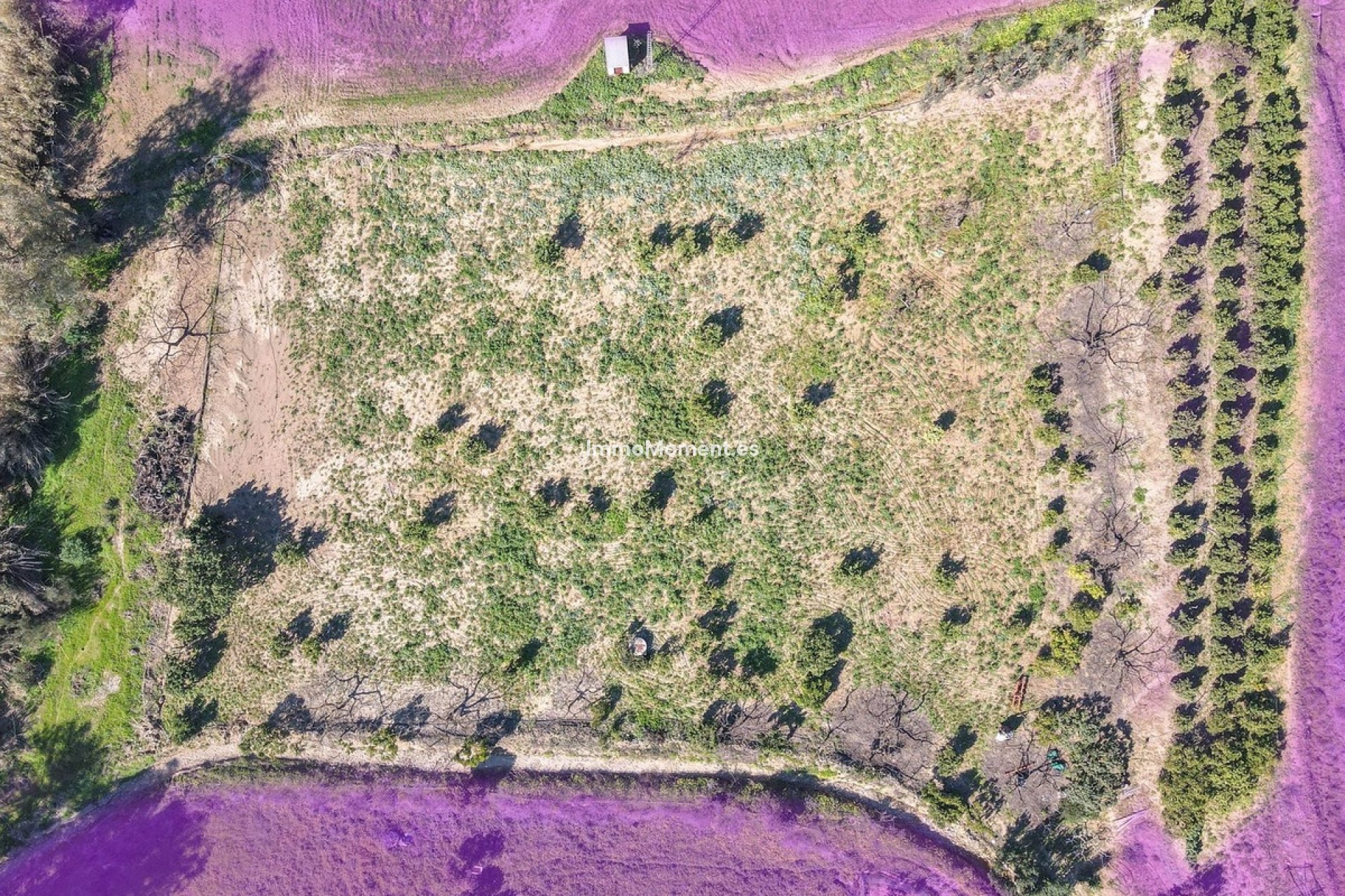 Resale - Villa - Inland  - Coín