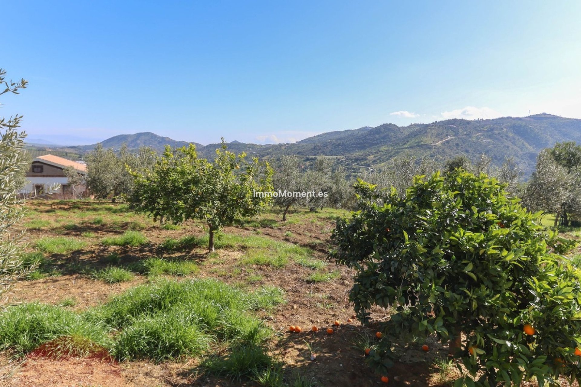 Resale - Villa - Inland  - Guaro