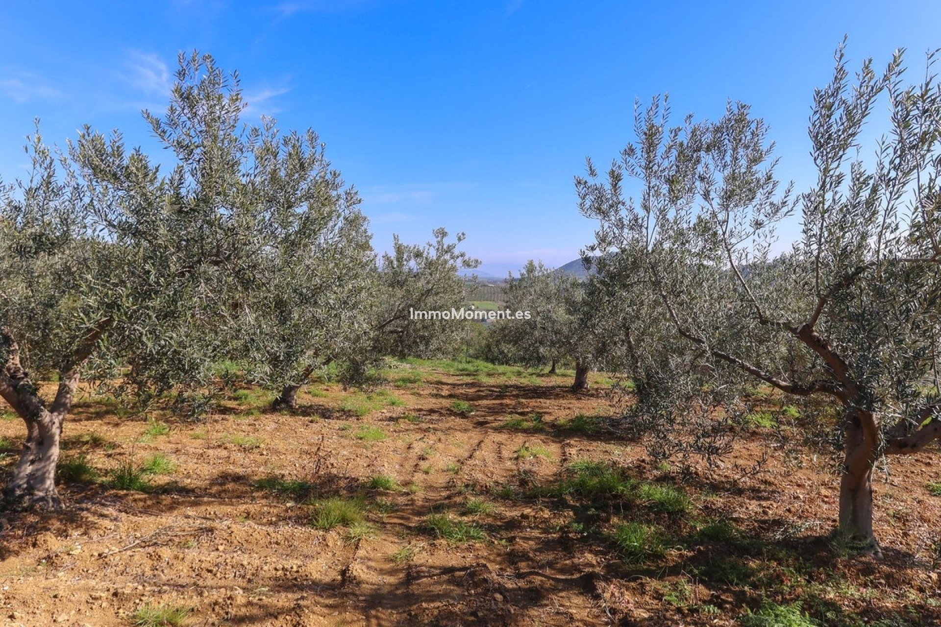 Resale - Villa - Inland  - Guaro