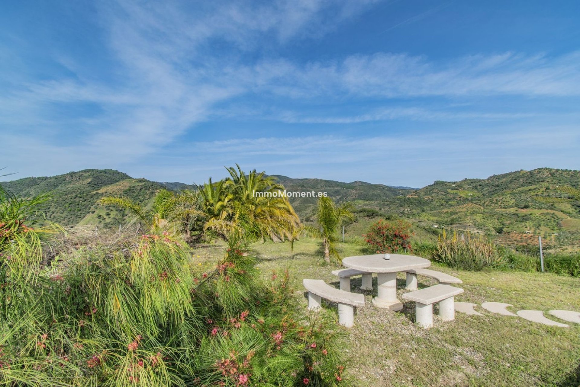 Resale - Villa - Inland  - Monda