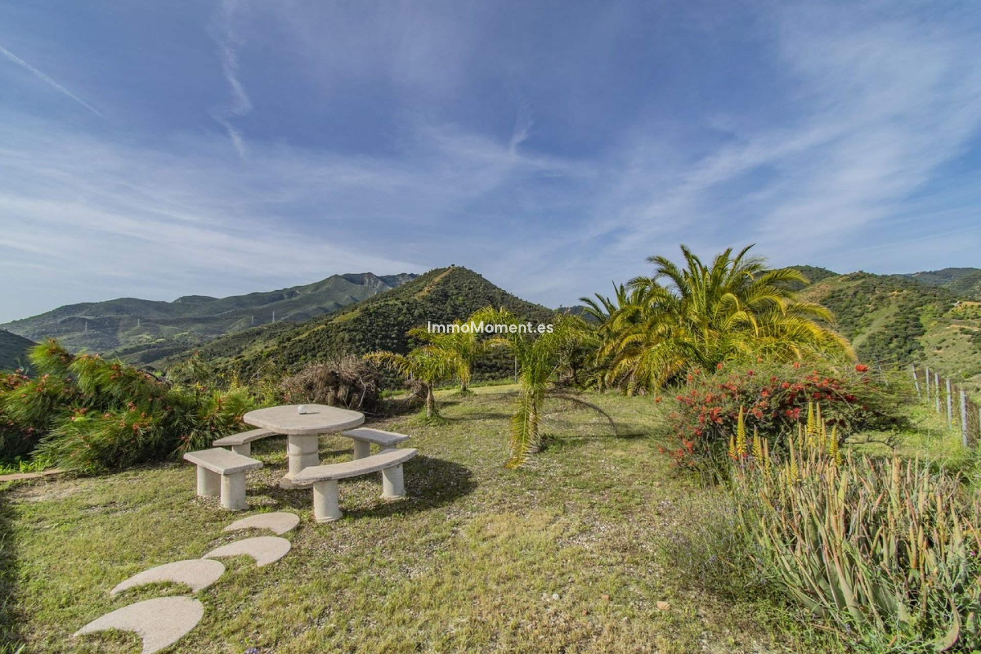 Resale - Villa - Inland  - Monda