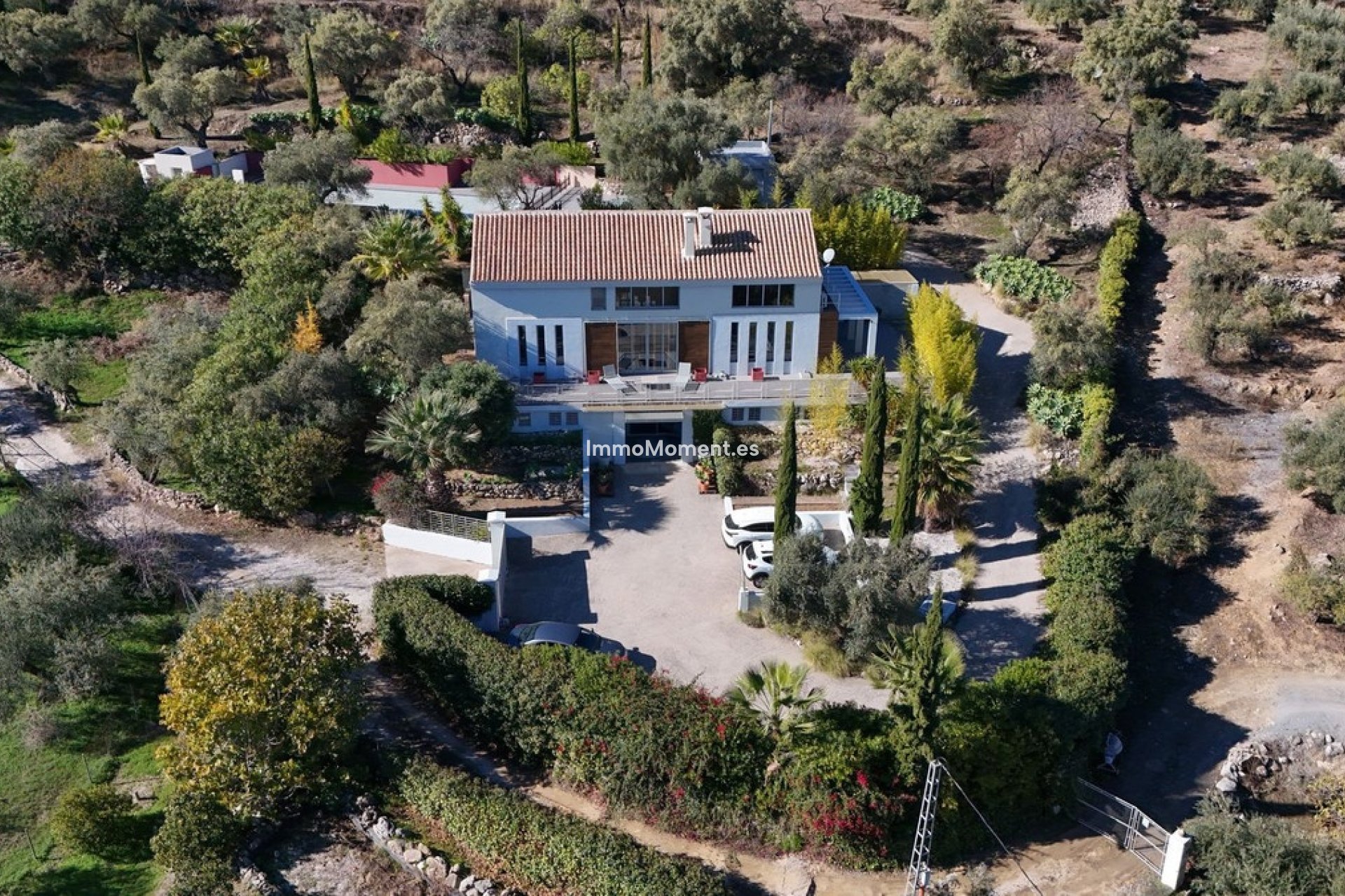 Resale - Villa - Inland  - Monda