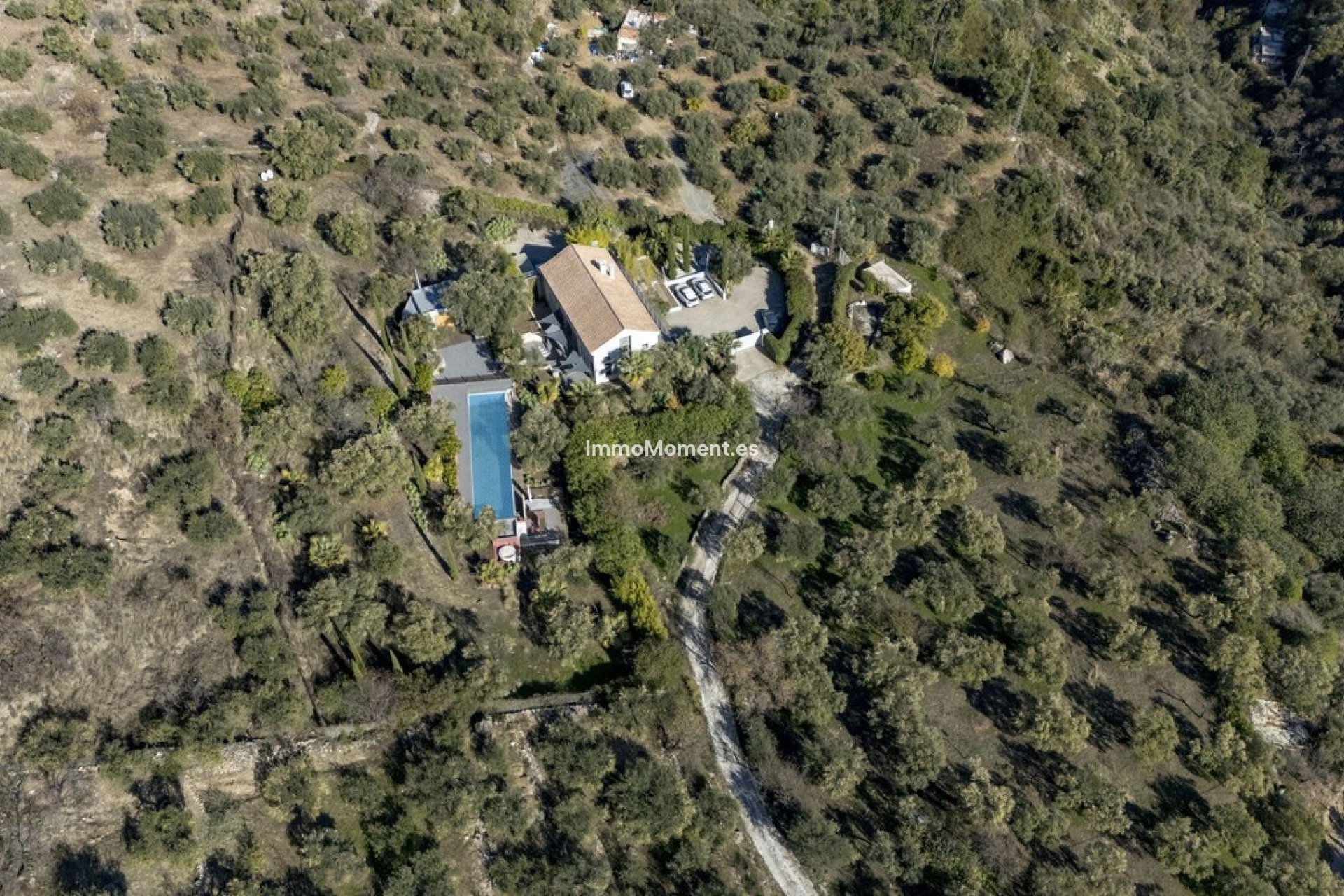 Resale - Villa - Inland  - Monda