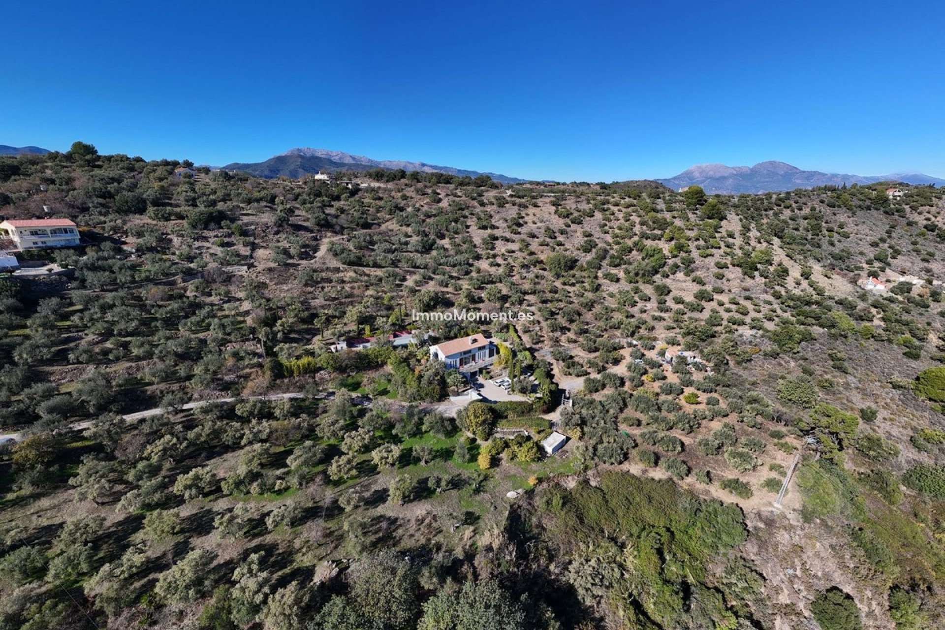 Resale - Villa - Inland  - Monda