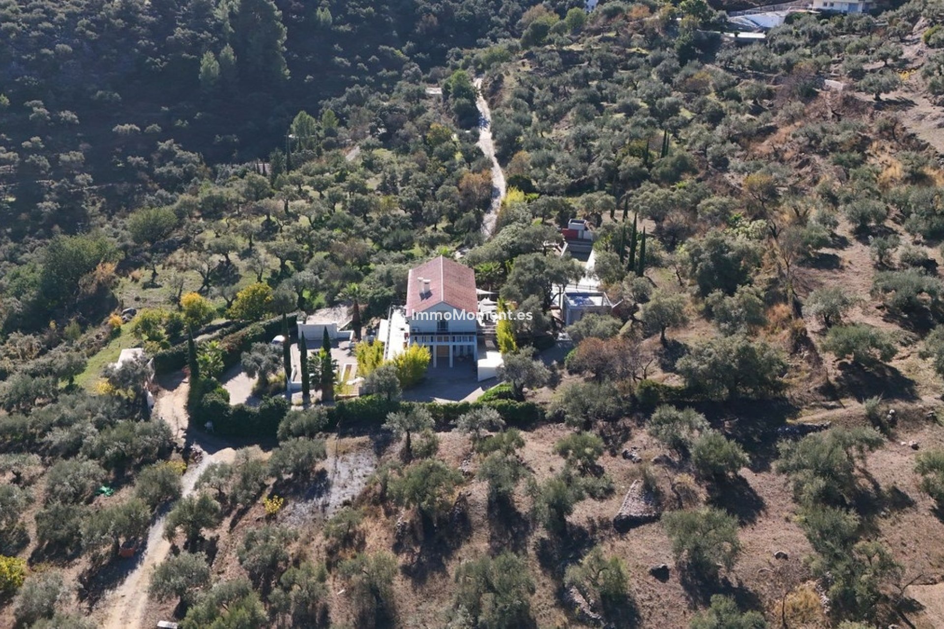 Resale - Villa - Inland  - Monda