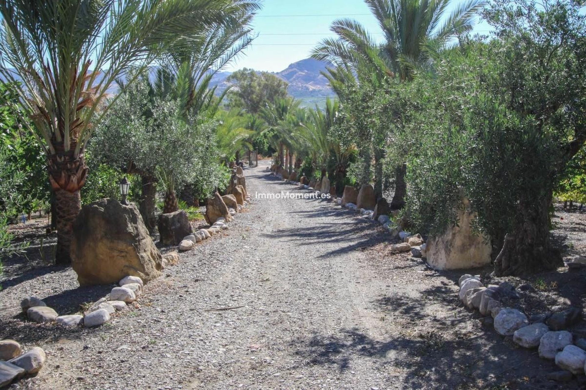 Resale - Villa - Inland  - Pizarra