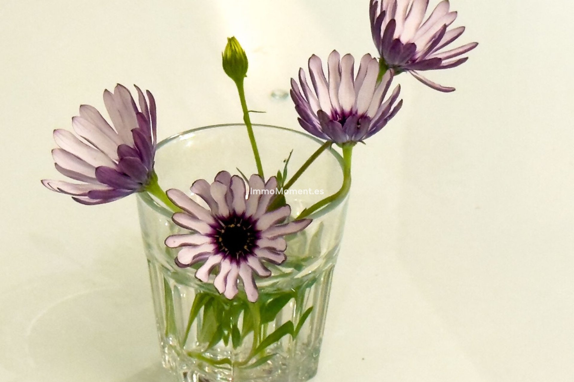 Resale - Villa - Marbella - El Rosario