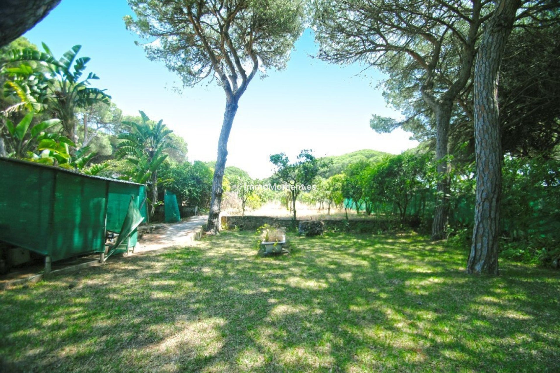 Resale - Villa - Marbella - Elviria