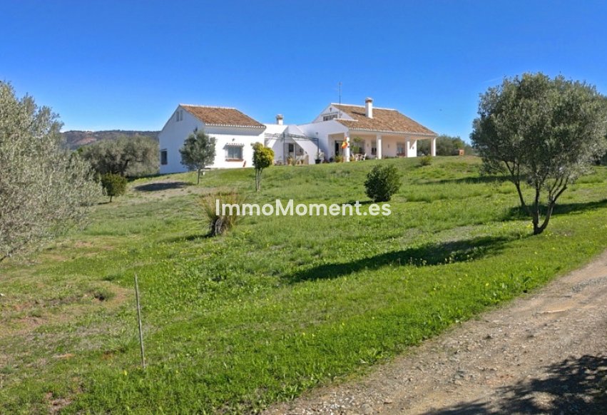 Resale - Villa - Marbella - Elviria