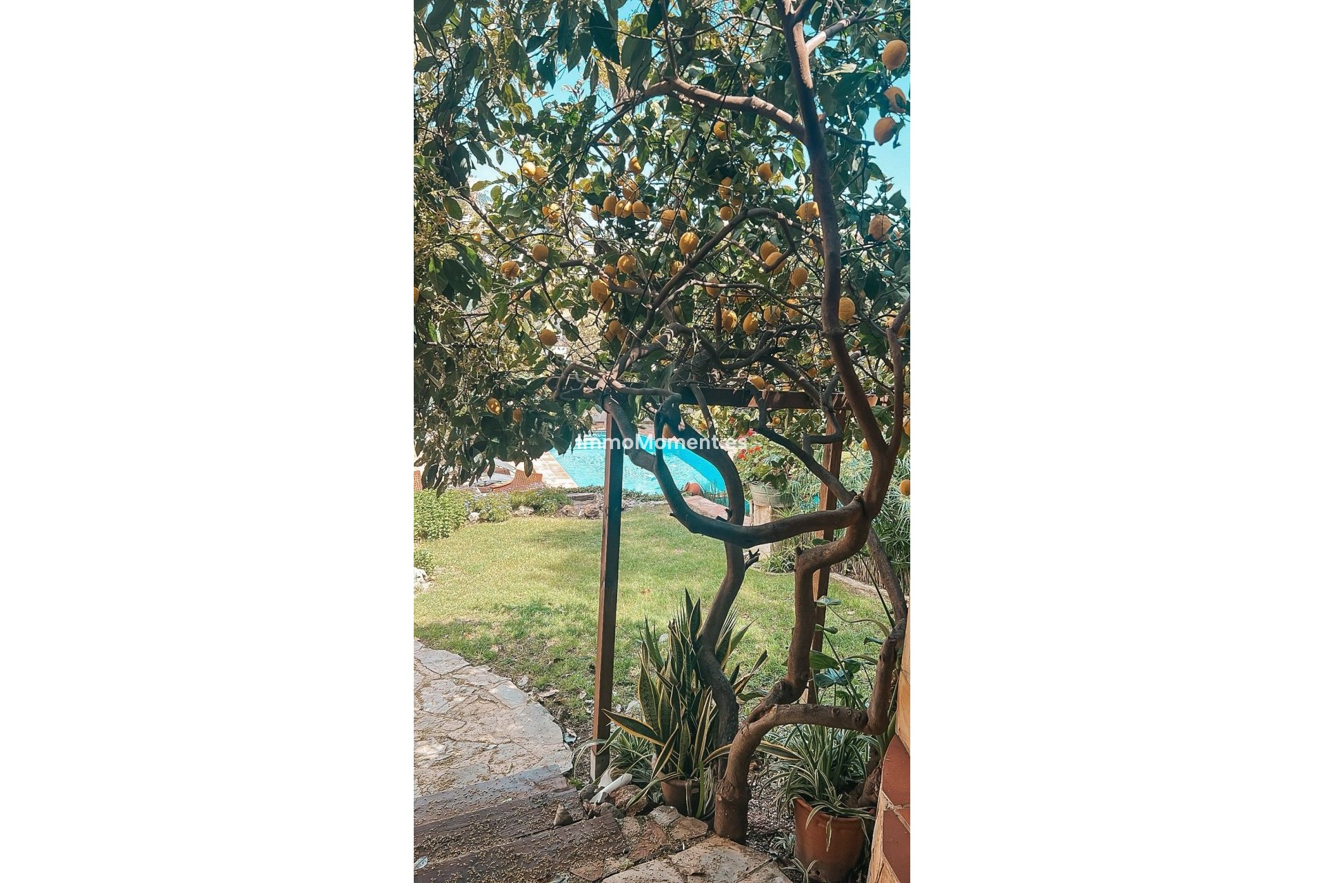 Resale - Villa - Marbella - Nueva Andalucía