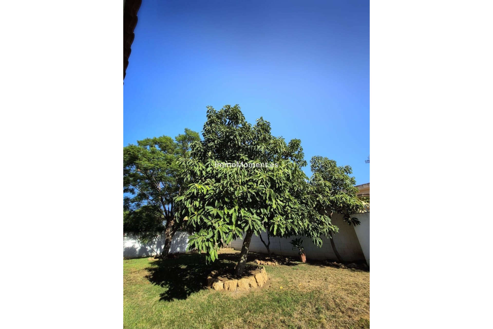 Resale - Villa - Marbella - San Pedro de Alcántara