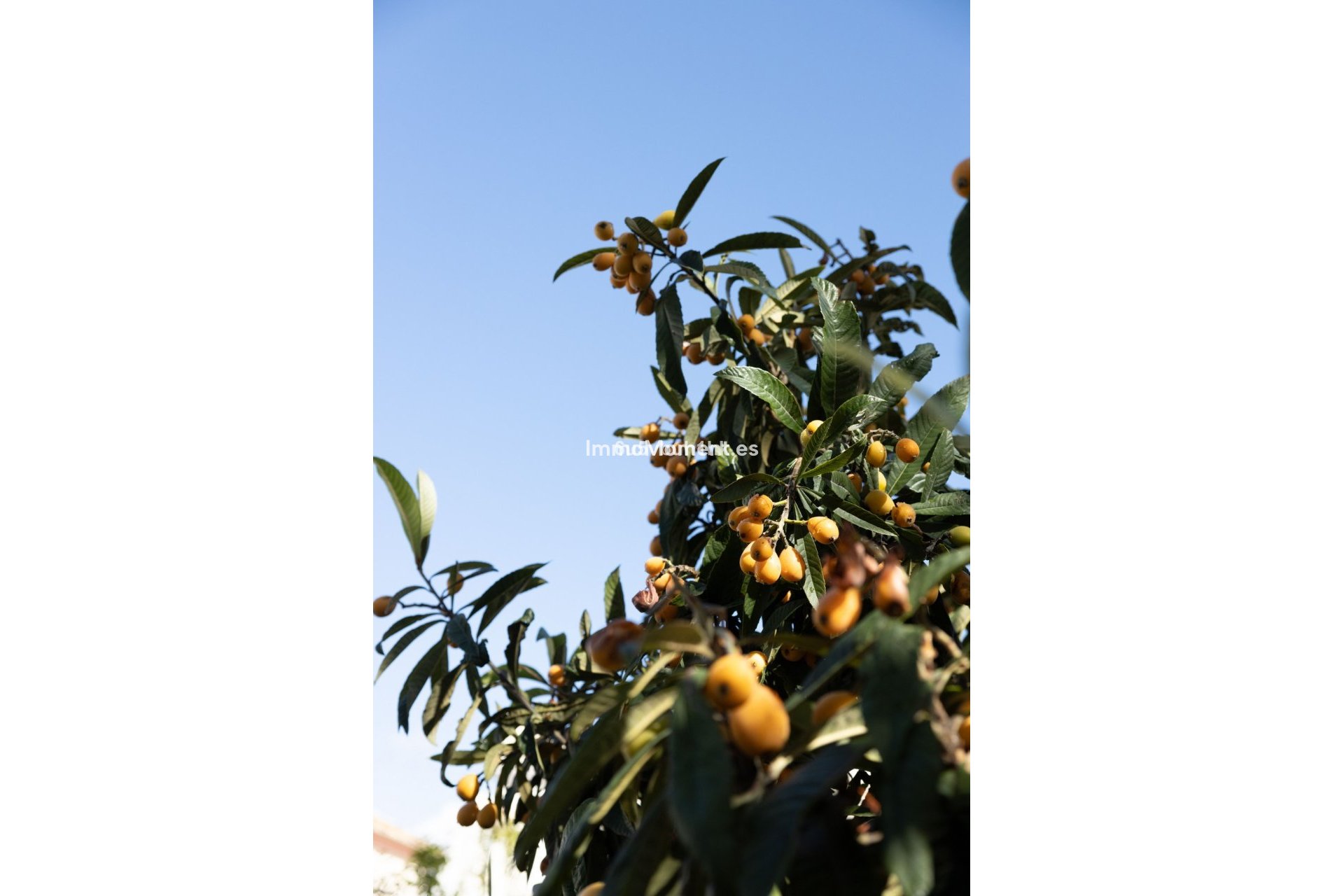 Resale - Villa - Marbella - San Pedro de Alcántara