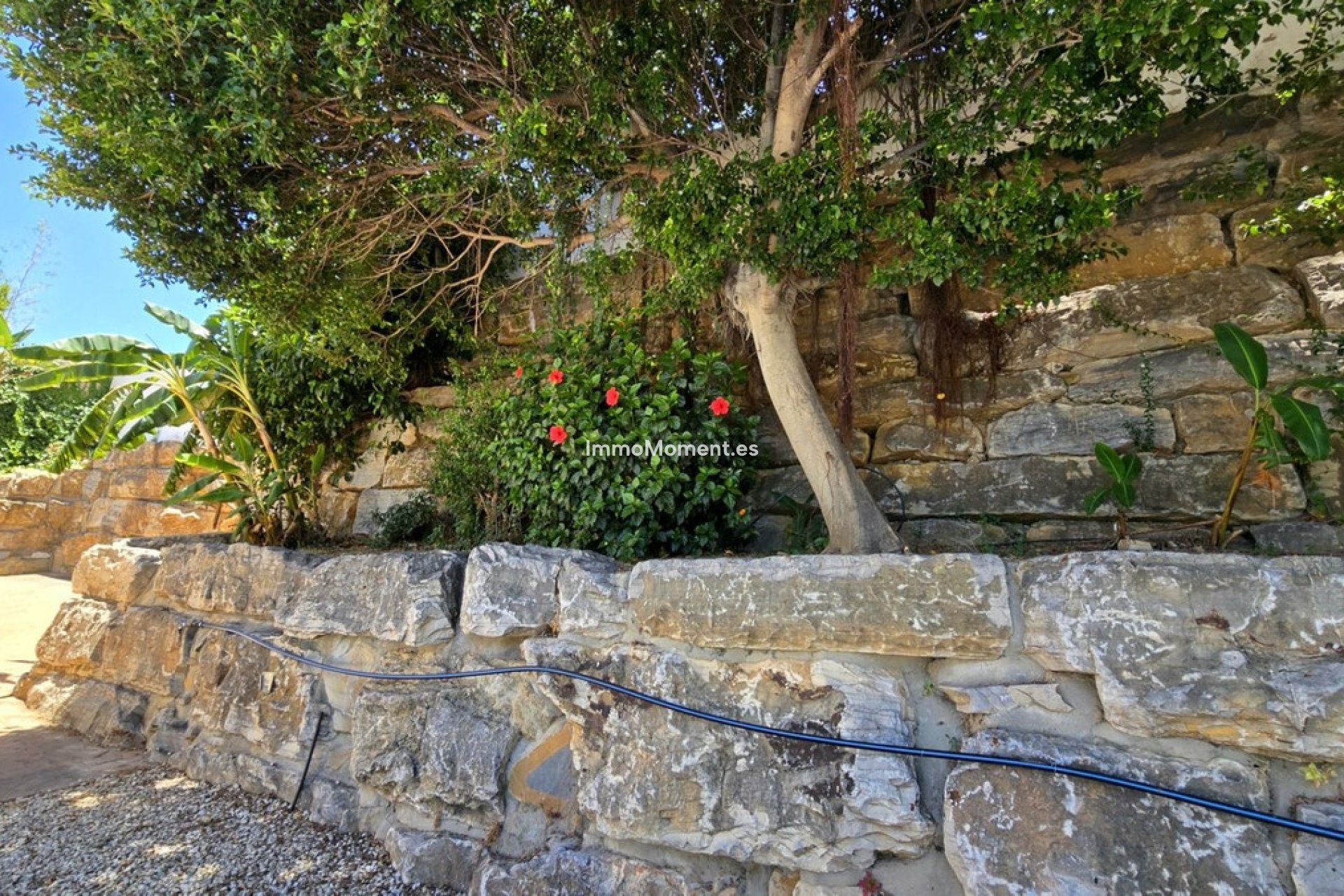 Resale - Villa - Mijas - Calahonda