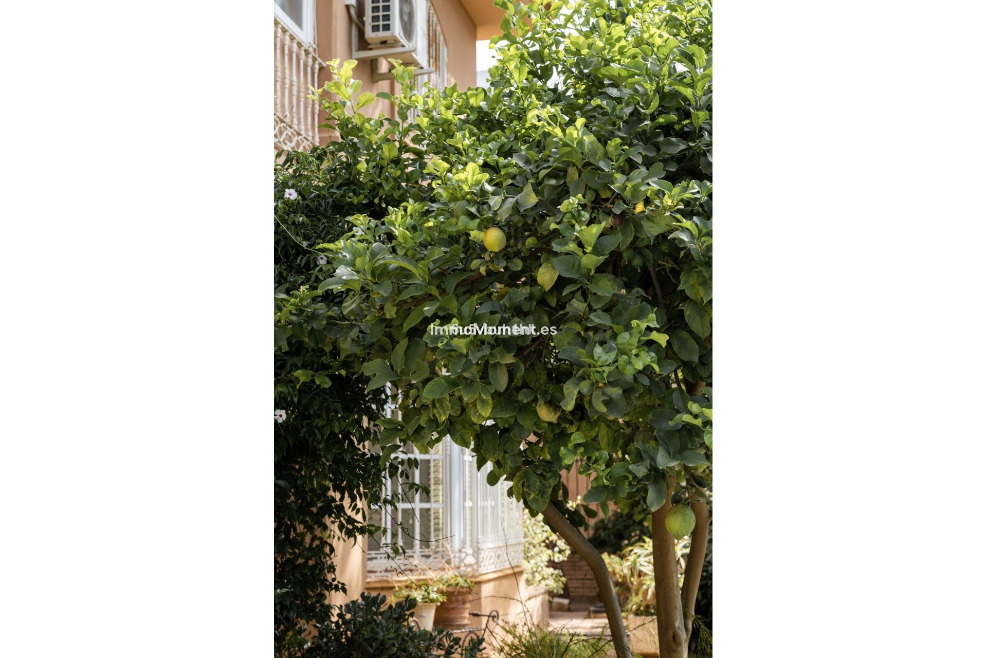 Resale - Villa - Mijas - El Coto