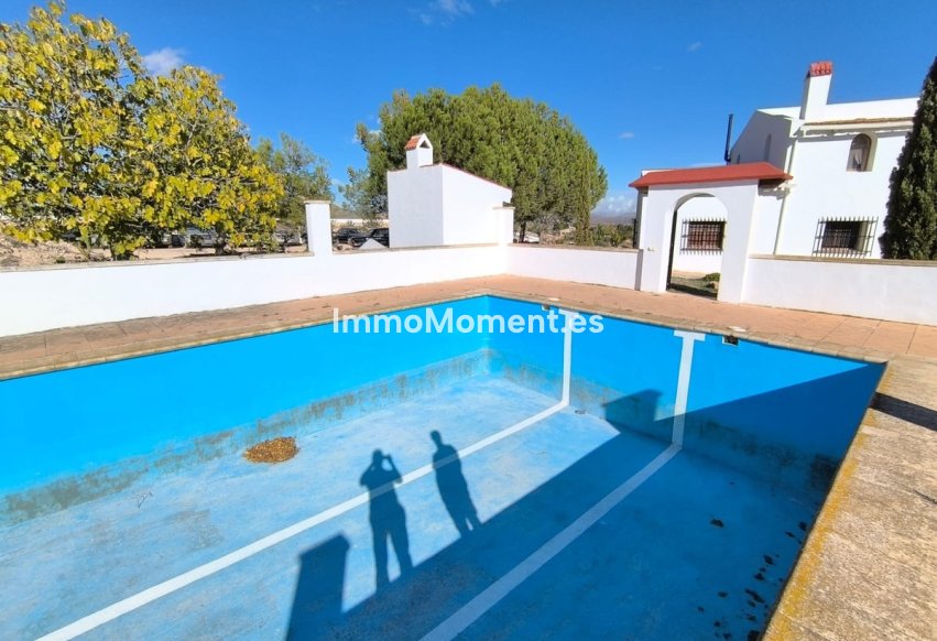 Resale - Villa - Novelda - Novelda Centro