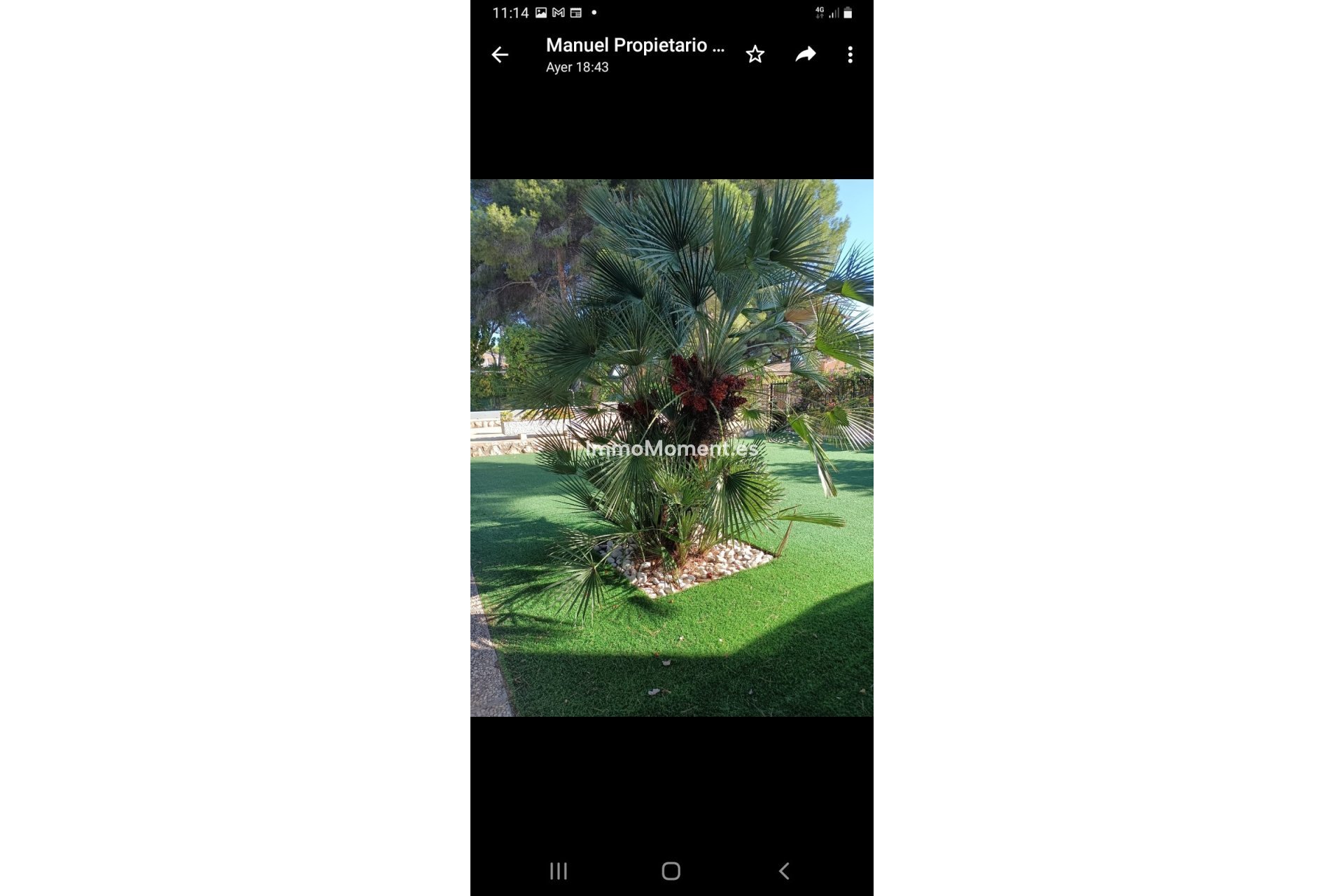 Resale - Villa - Orihuela - Campoamor