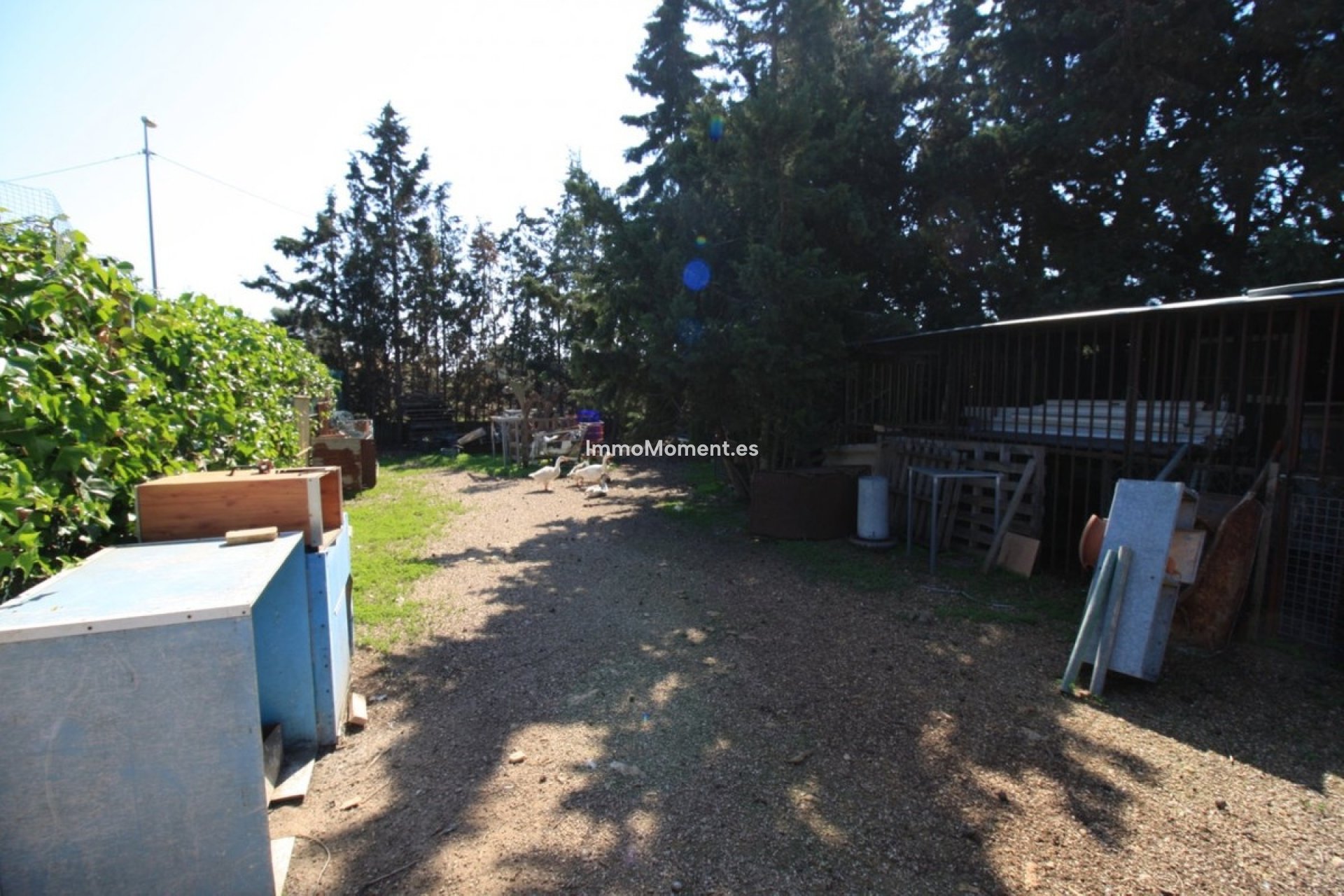 Resale - Villa - Orihuela - Orihuela Costa