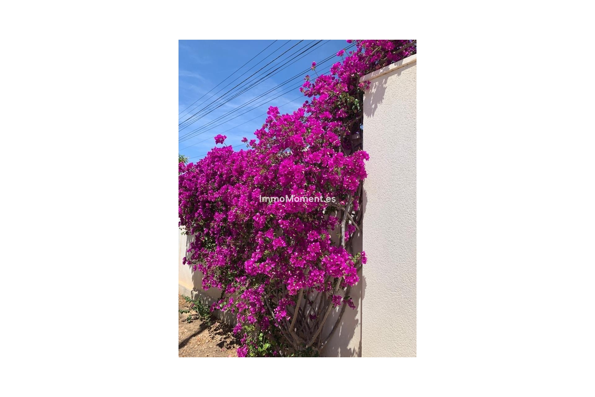 Resale - Villa - Rojales - Ciudad Quesada