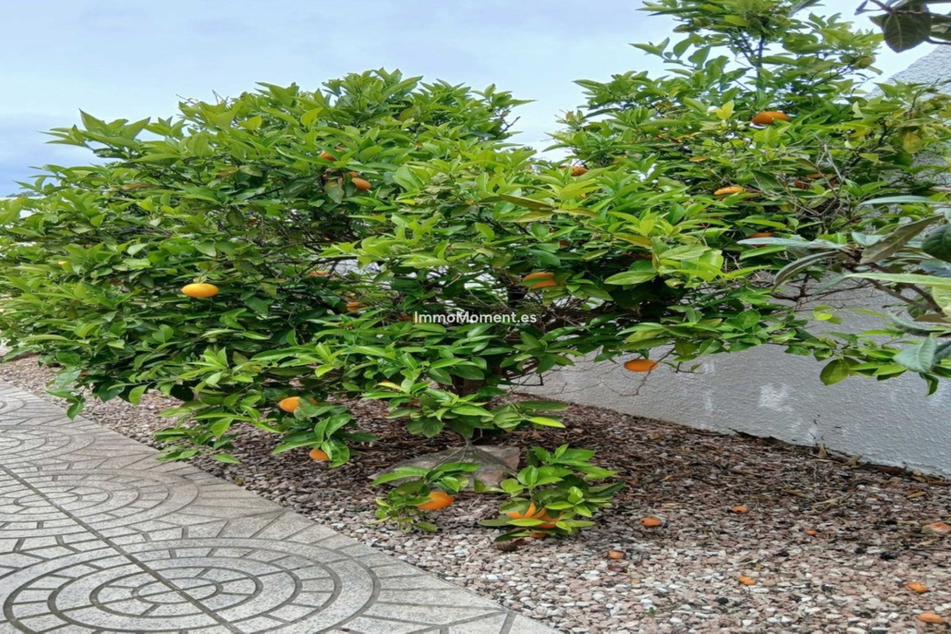 Resale - Villa - San Fulgencio - San Fulgencio Centro