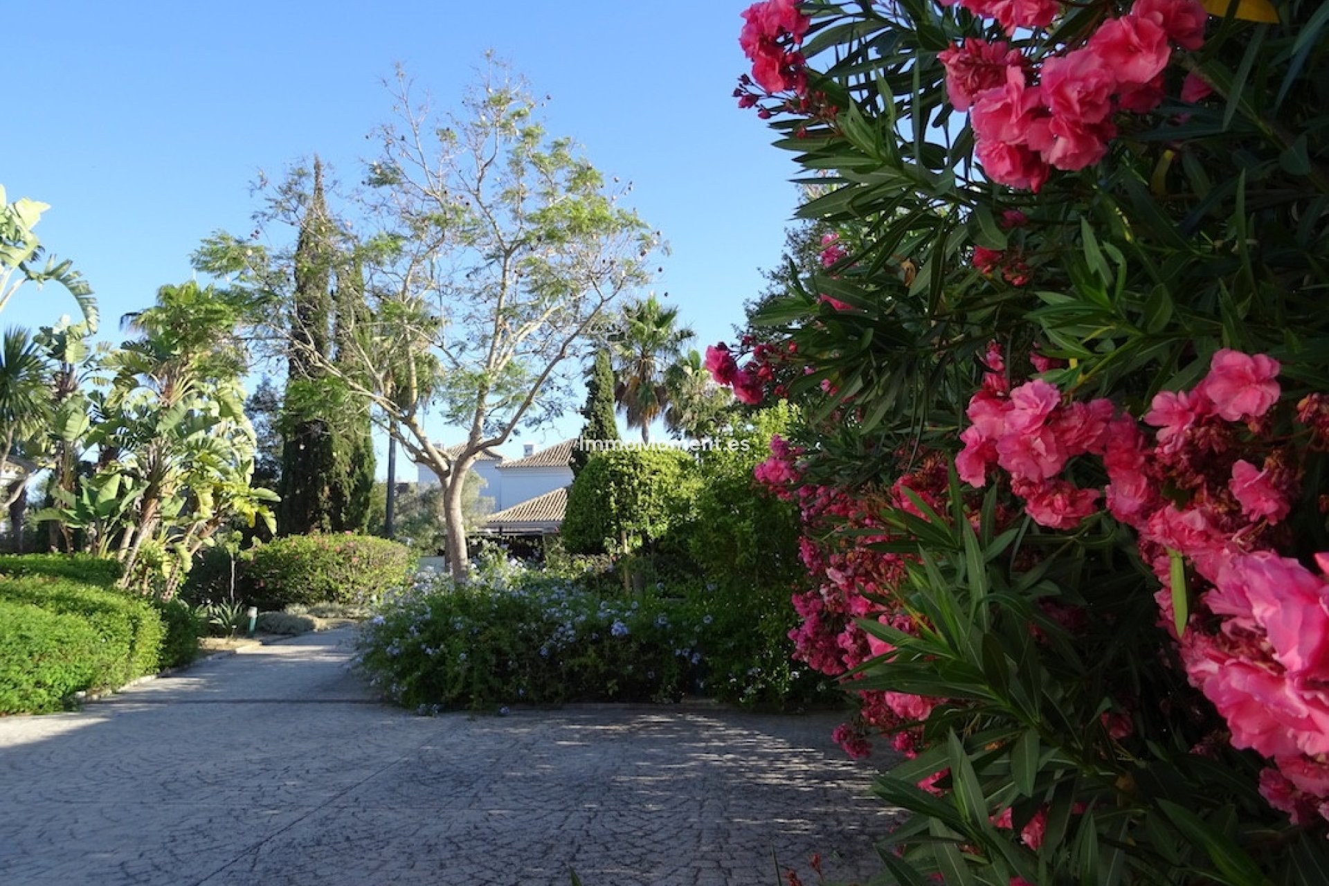 Resale - Villa - Sotogrande - Sotogrande Alto