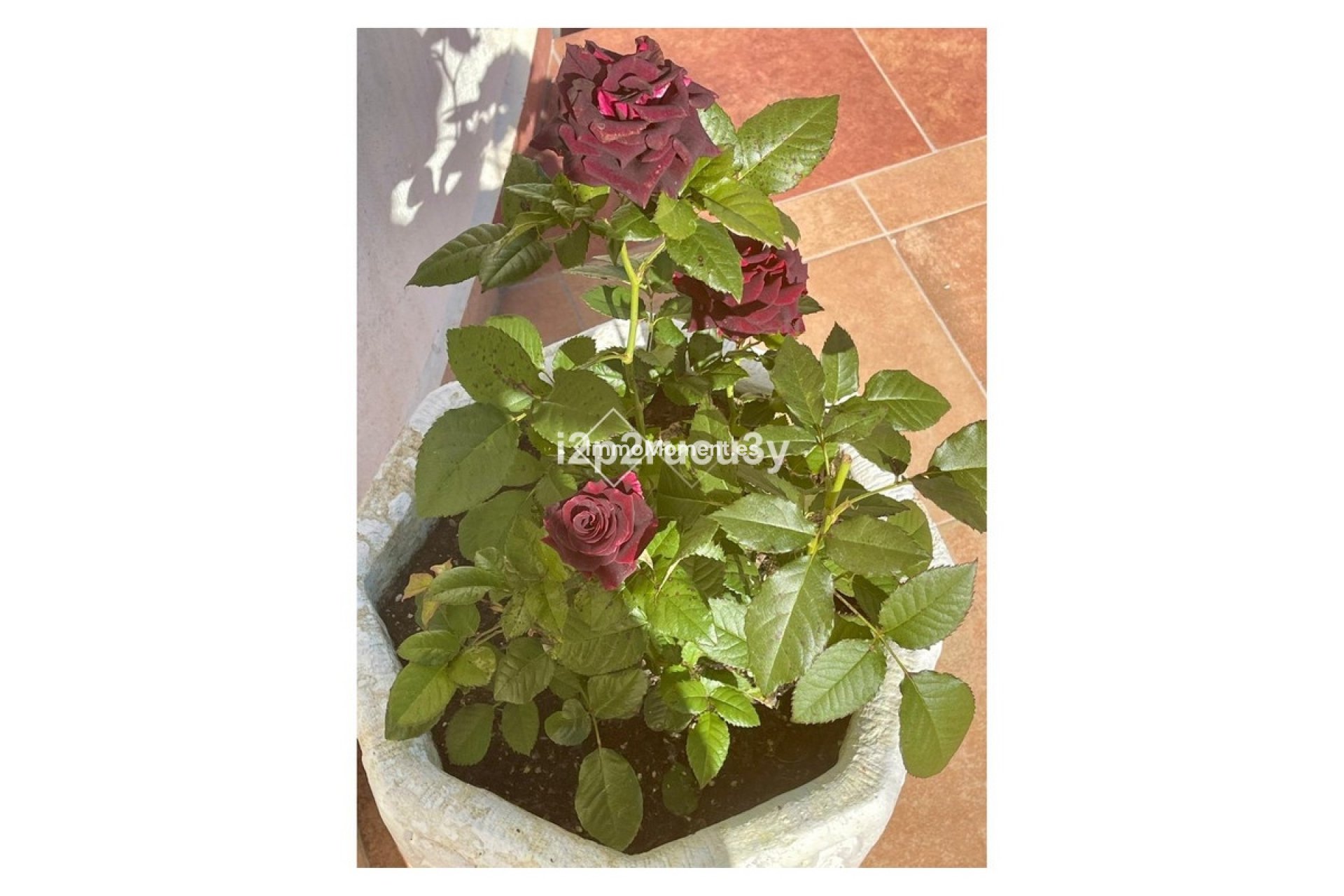 Resale - Villa - Teulada - Moraira