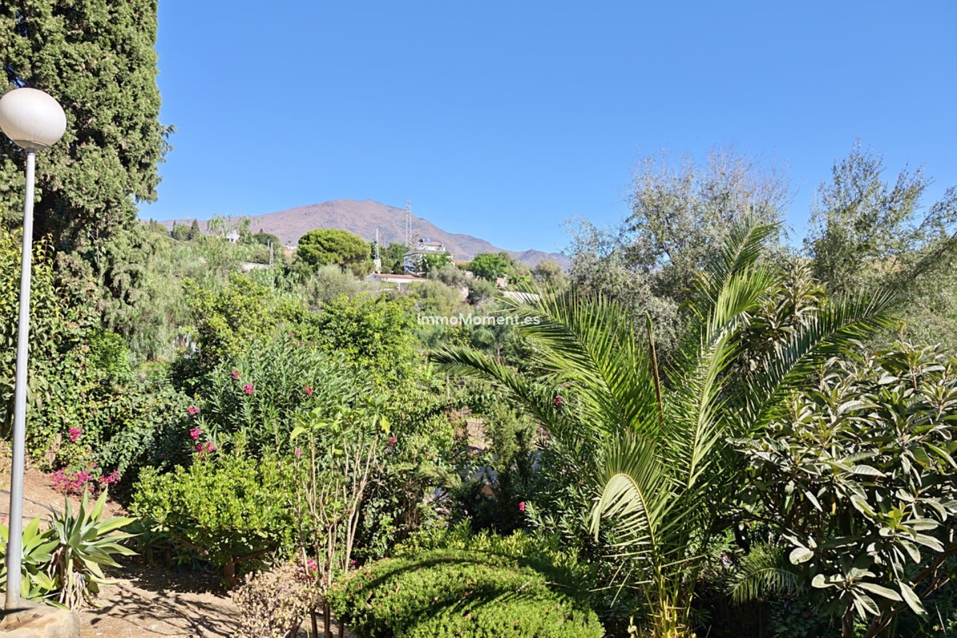 Reventa - Adosado - Estepona  - Estepona Centro