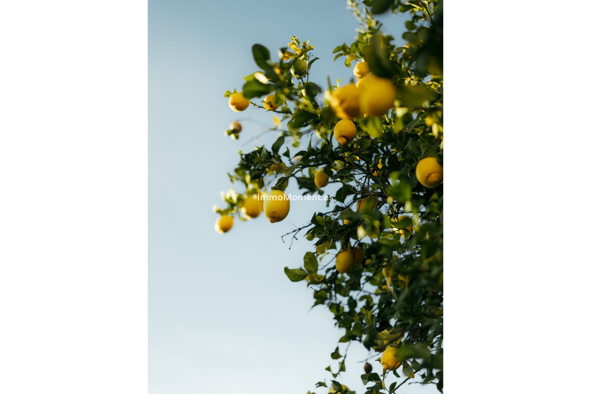 Reventa - Adosado - Estepona  - New Golden Mile