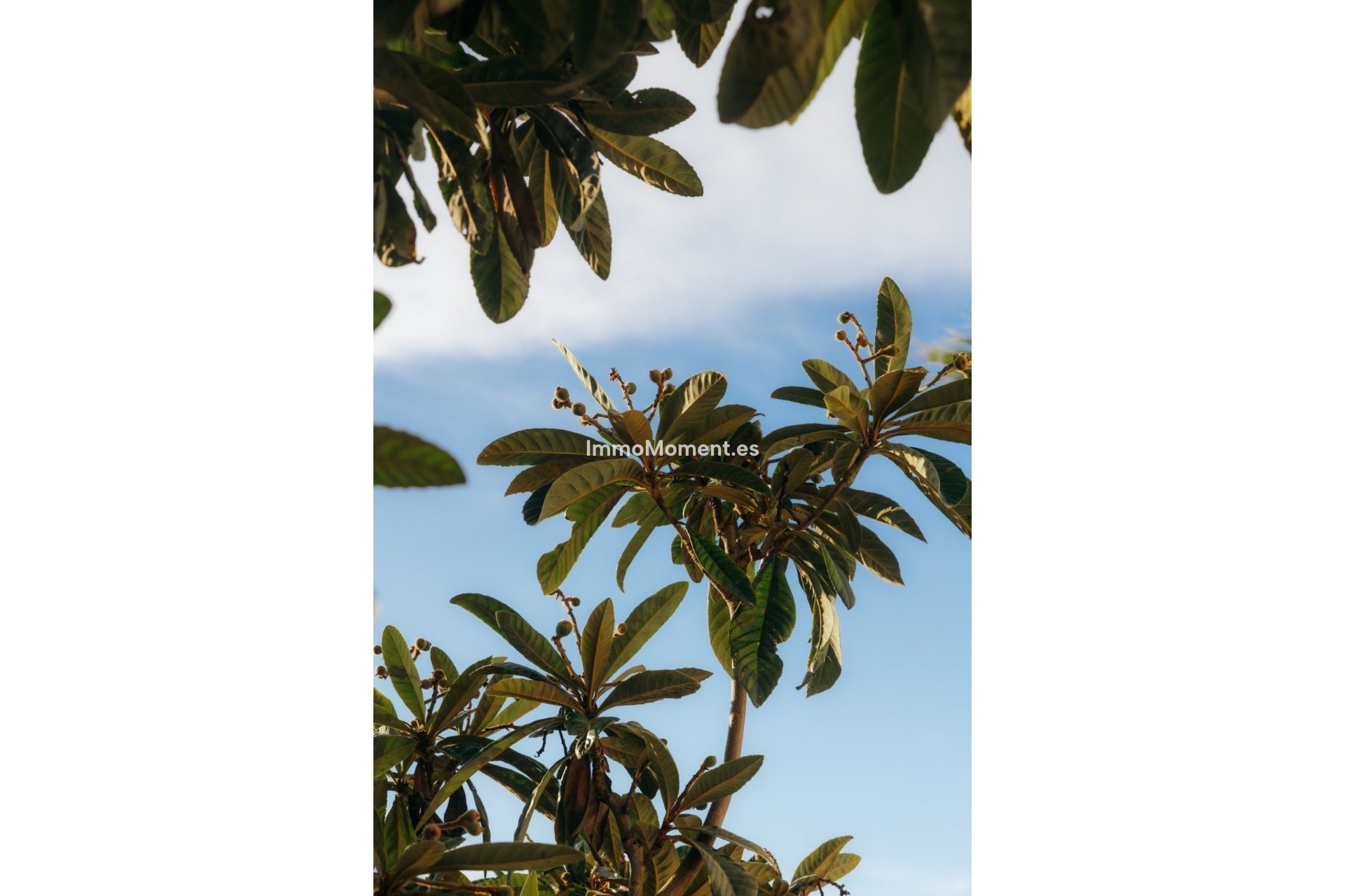 Reventa - Adosado - Estepona  - New Golden Mile