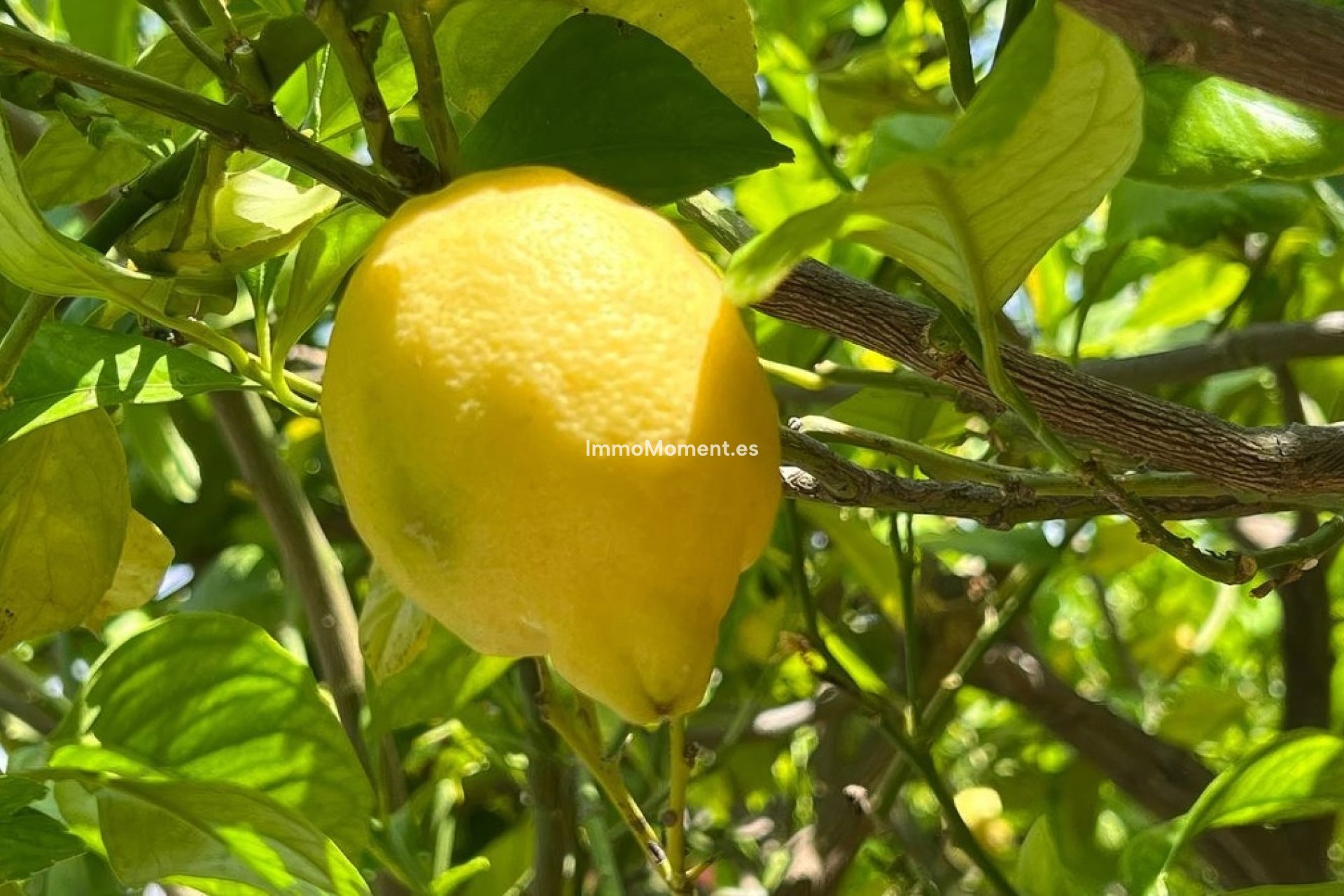 Reventa - Adosado - Interior  - Alhaurín el Grande Centro