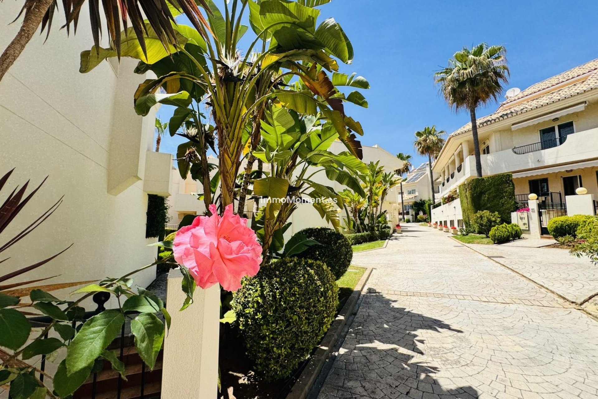 Reventa - Adosado - Marbella - Costabella