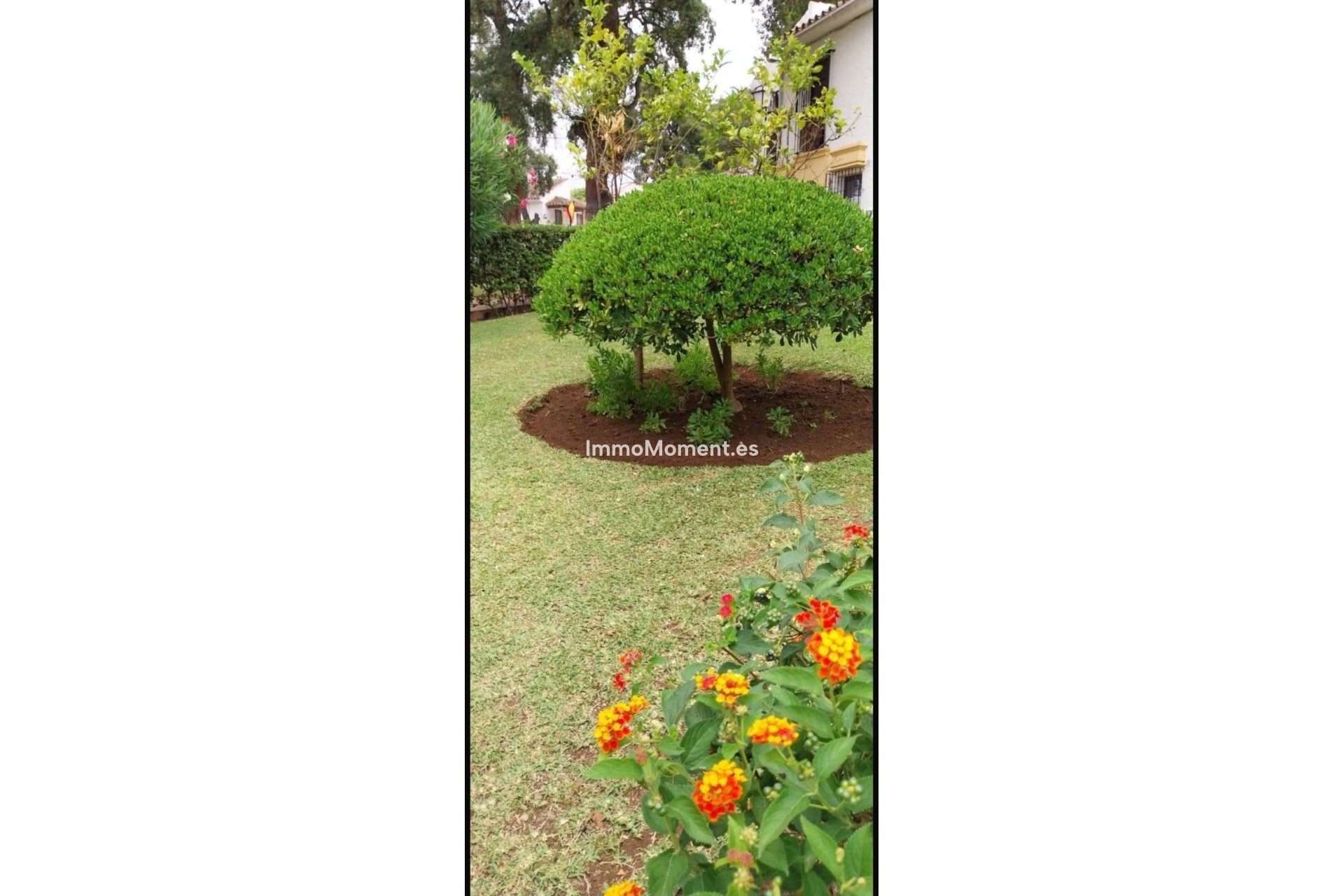 Reventa - Adosado - Marbella - Elviria