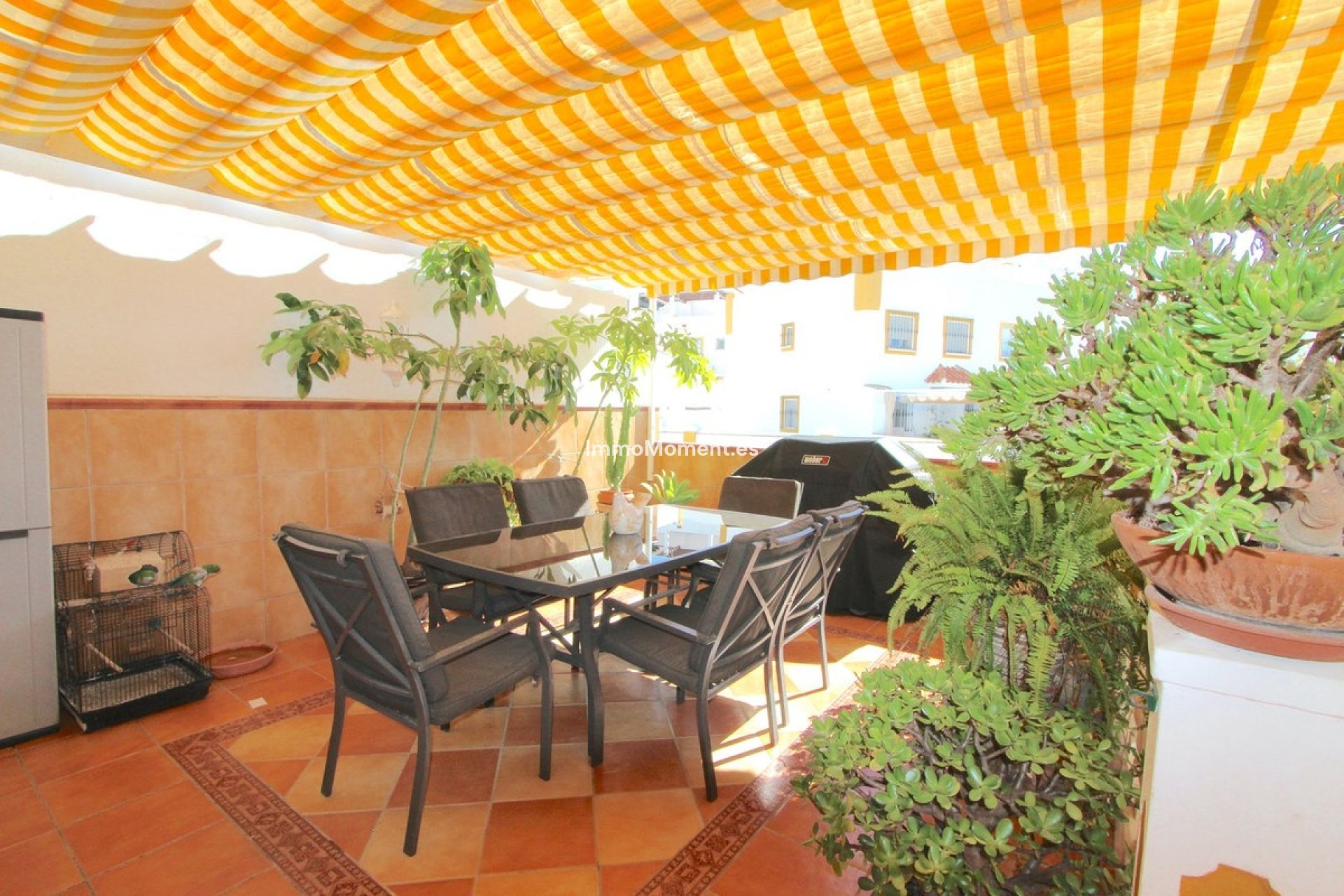 Reventa - Adosado - Marbella - Marbella Centro