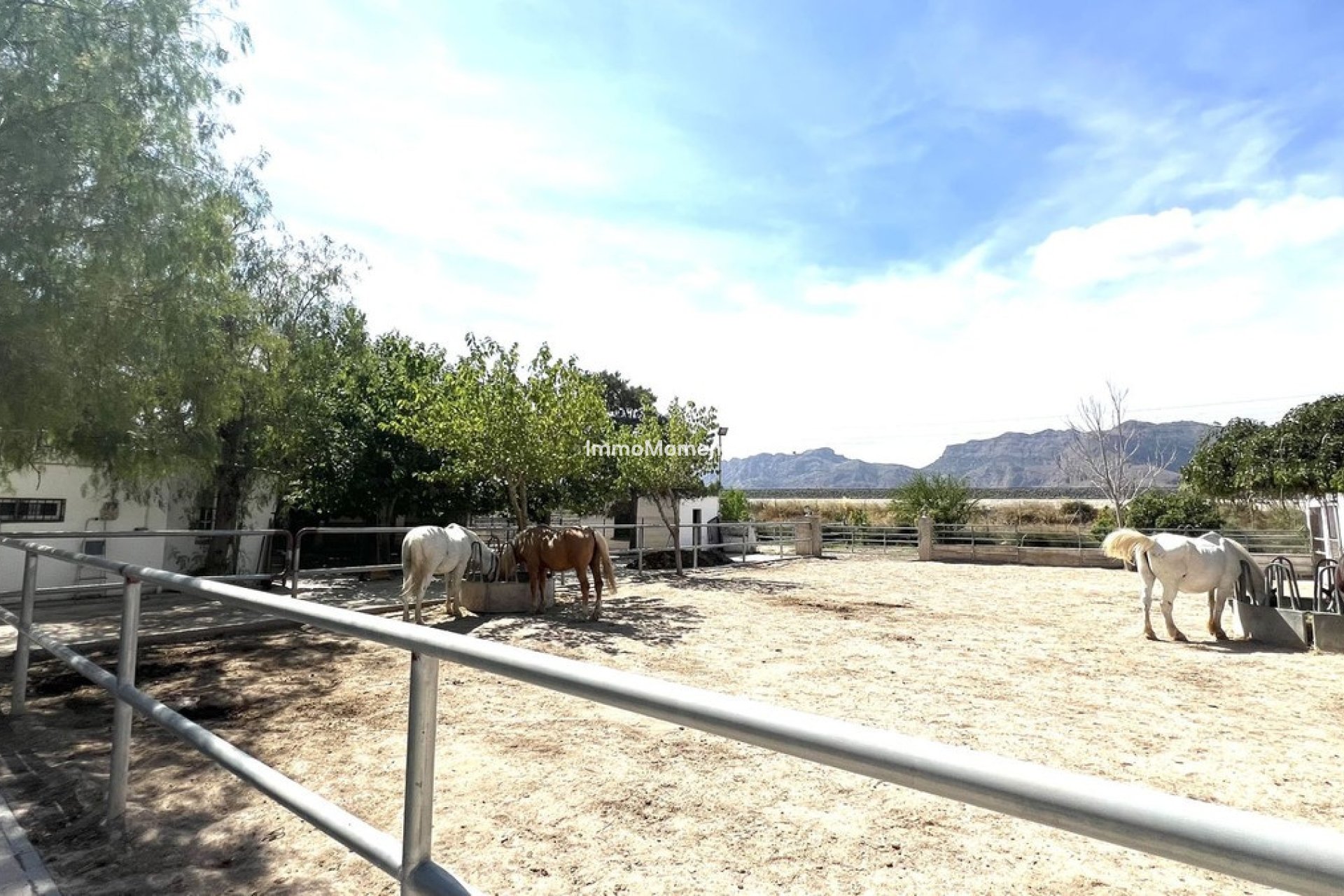 Reventa - Adosado - Orihuela - Orihuela Centro