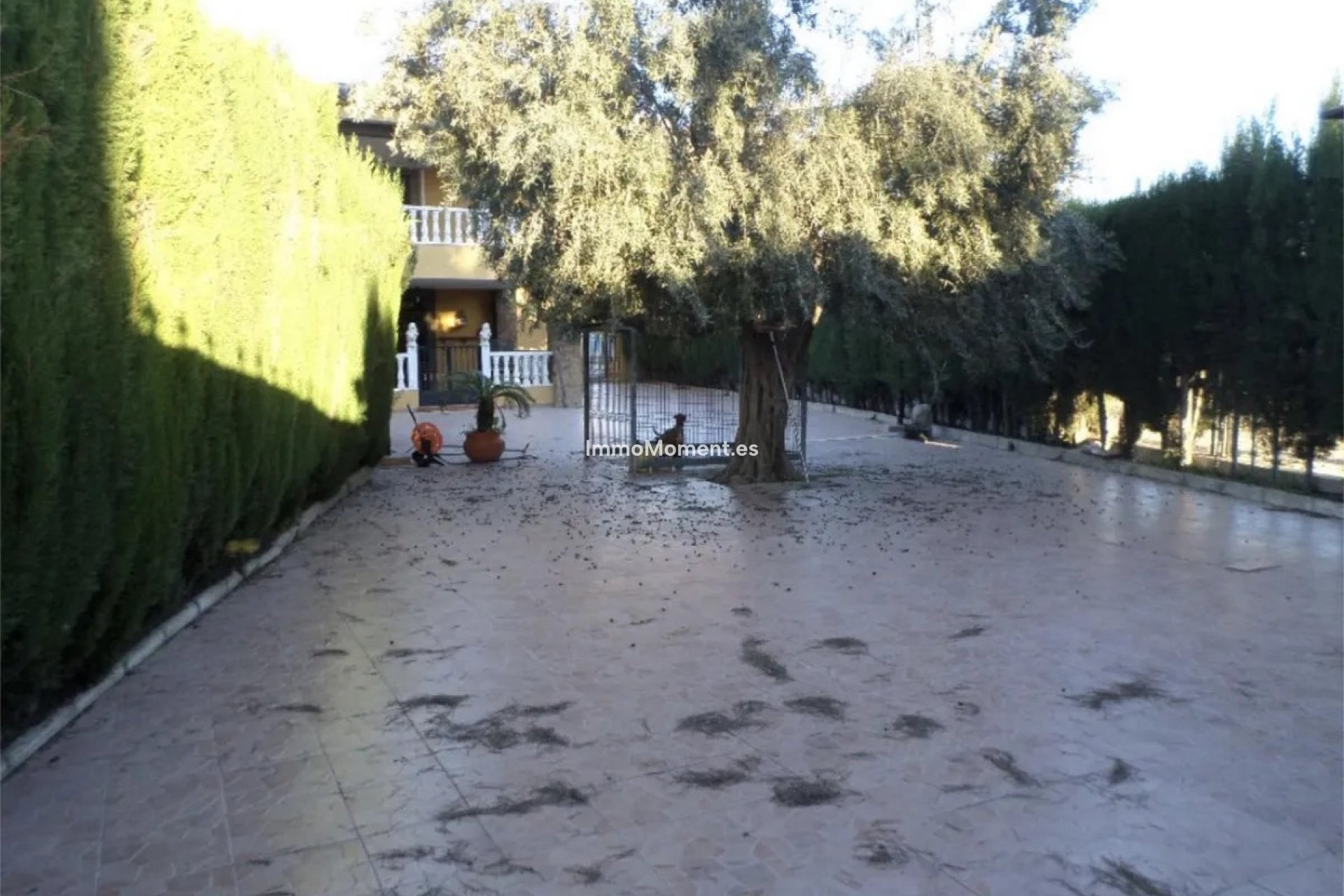 Reventa - Adosado - Orihuela - Orihuela Centro