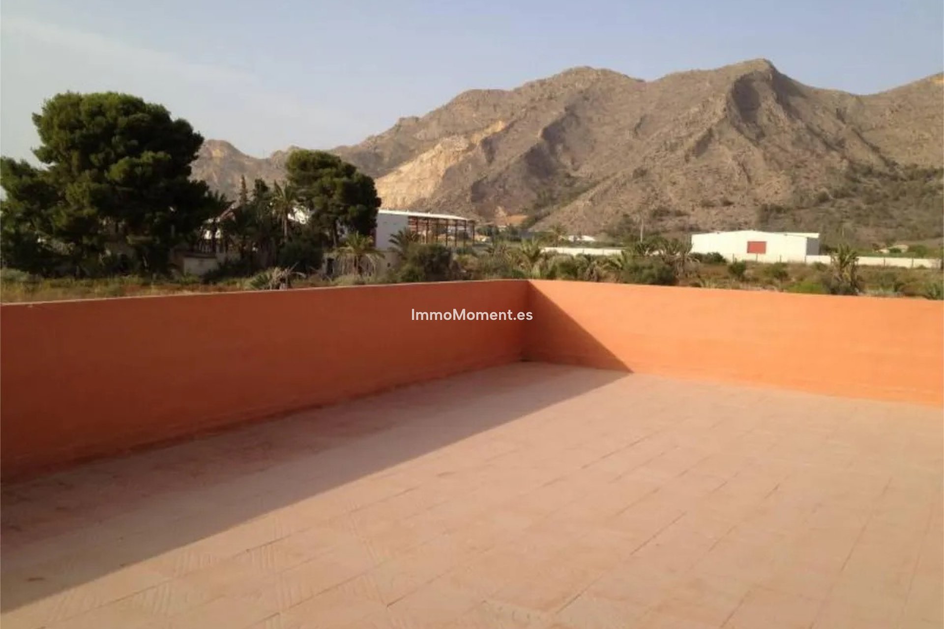 Reventa - Adosado - Orihuela - Orihuela Centro