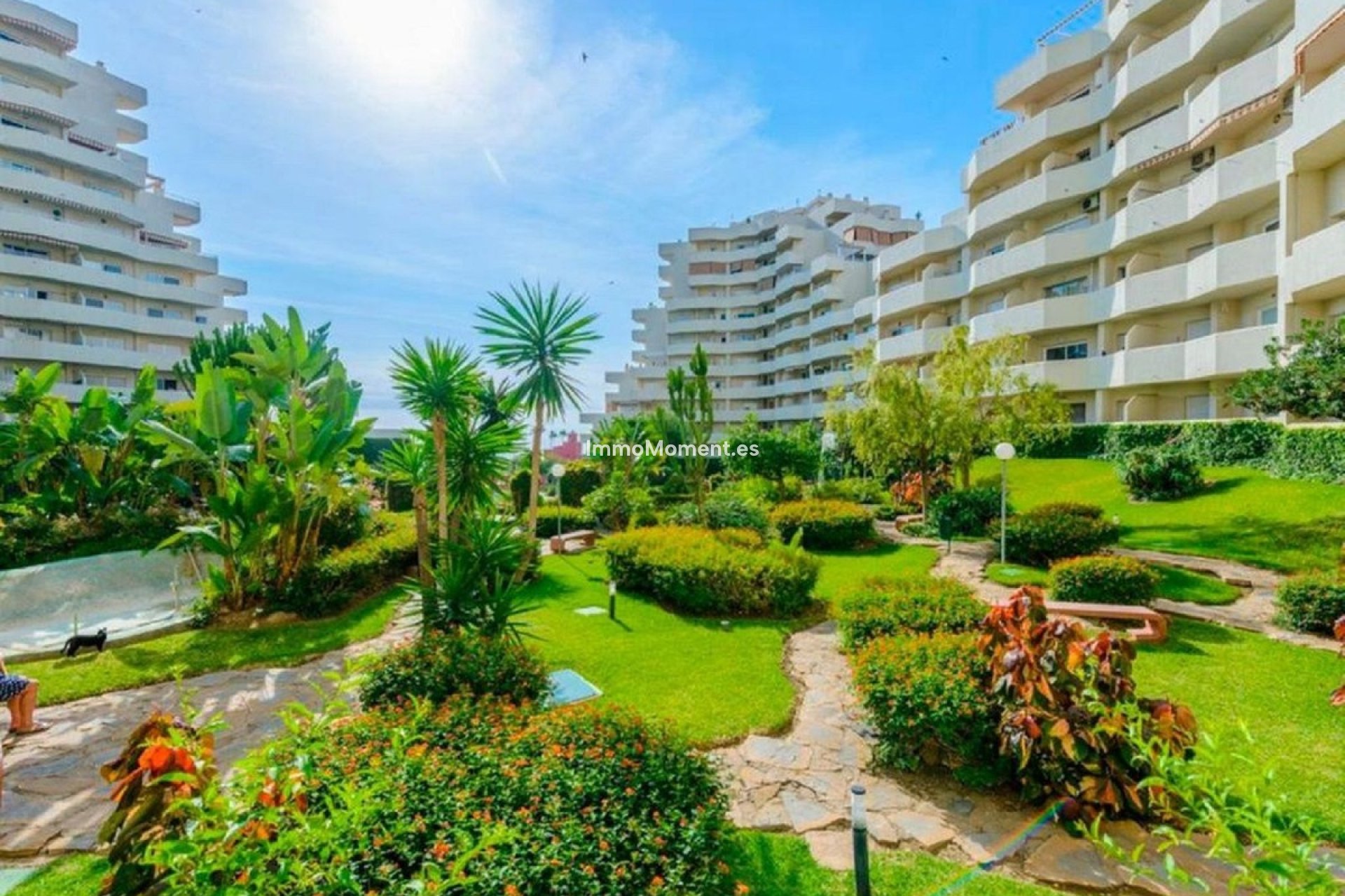 Reventa - Apartamento - Benalmadena - Benalmadena Centro